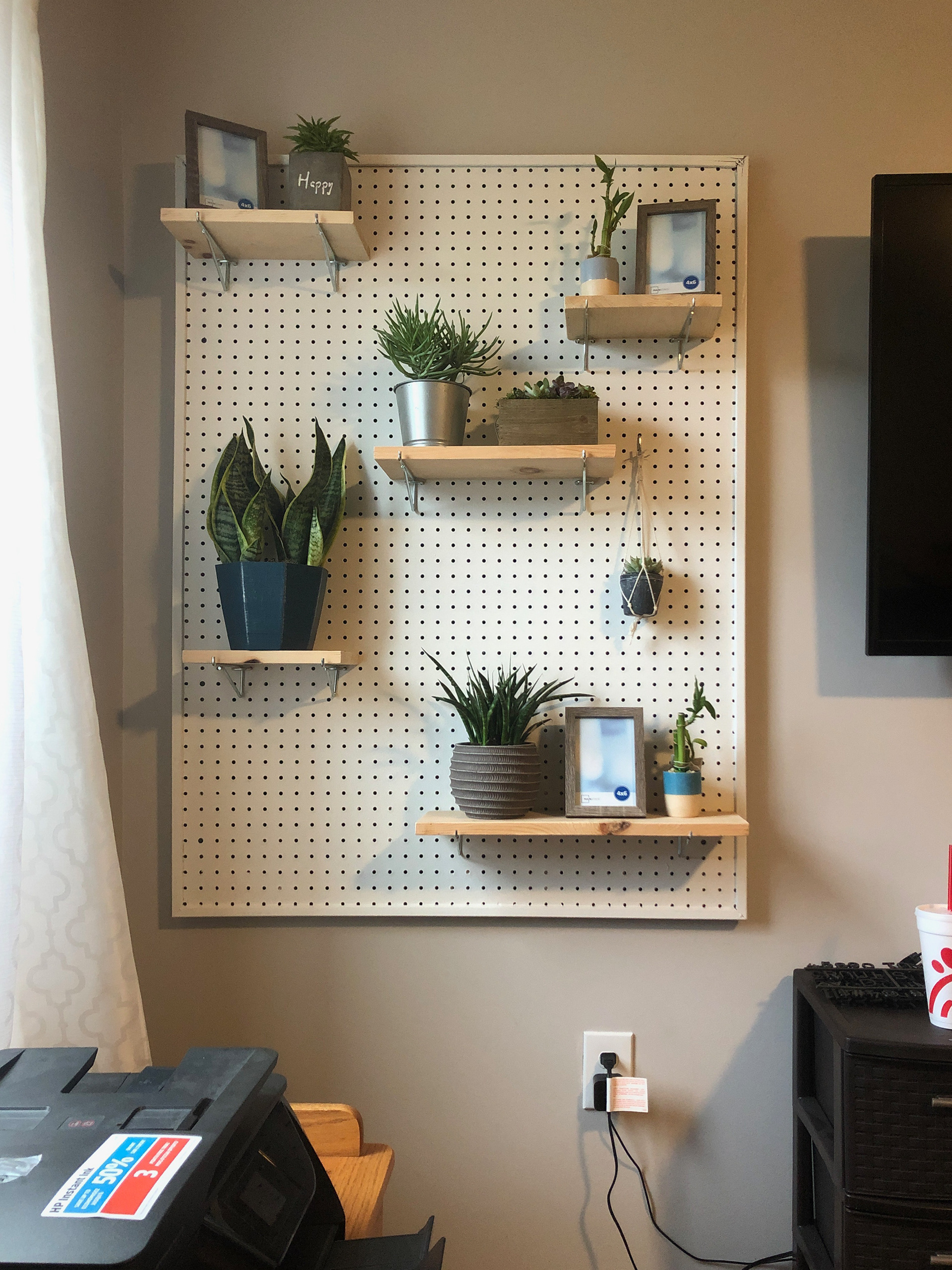 Laura Mason created a DIY plant wall to show her love for plants, May 5th, 2020. Laura Mason | Stafford, VA
