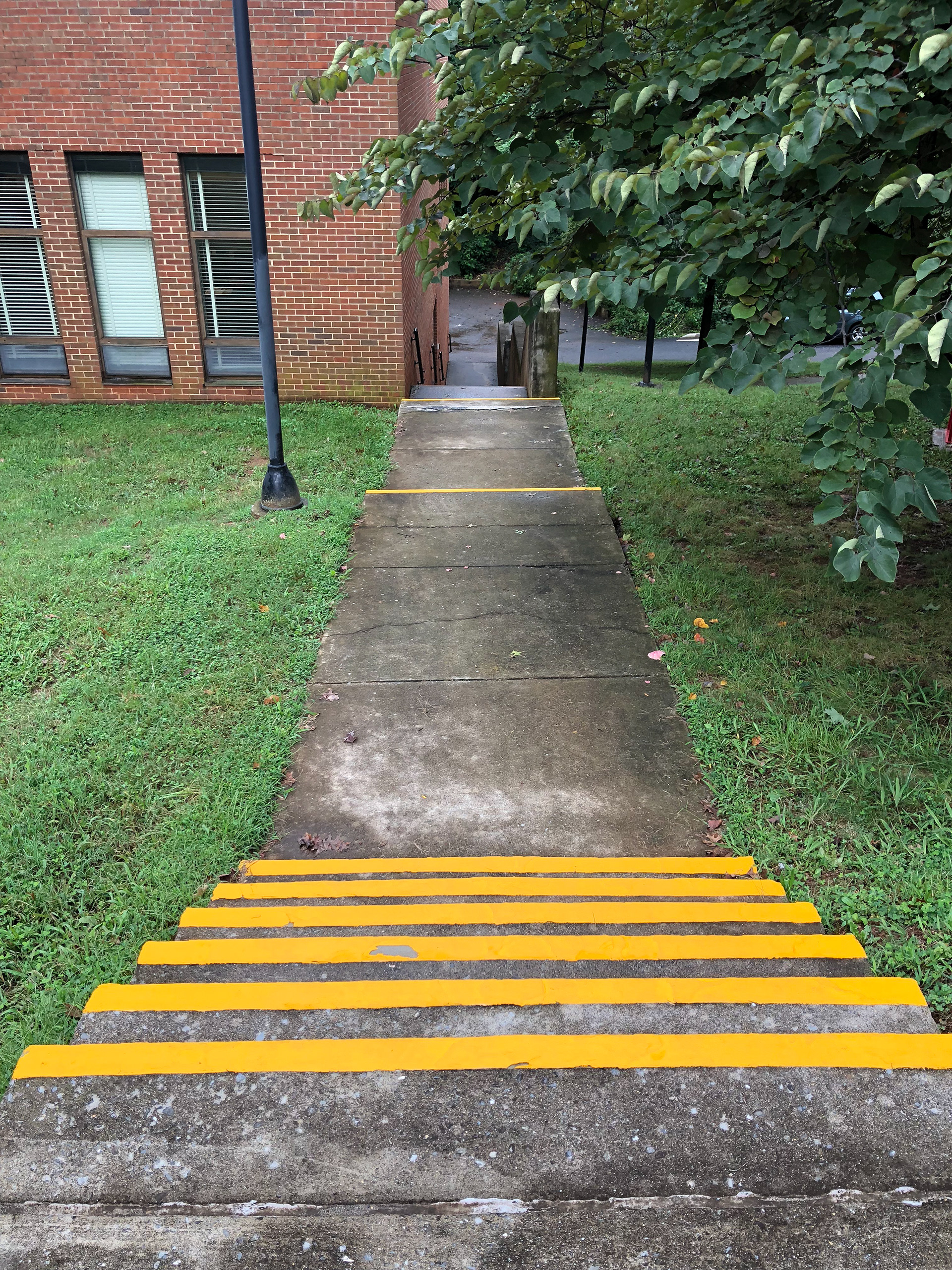 Dillard side access stairs. In need of beautification.