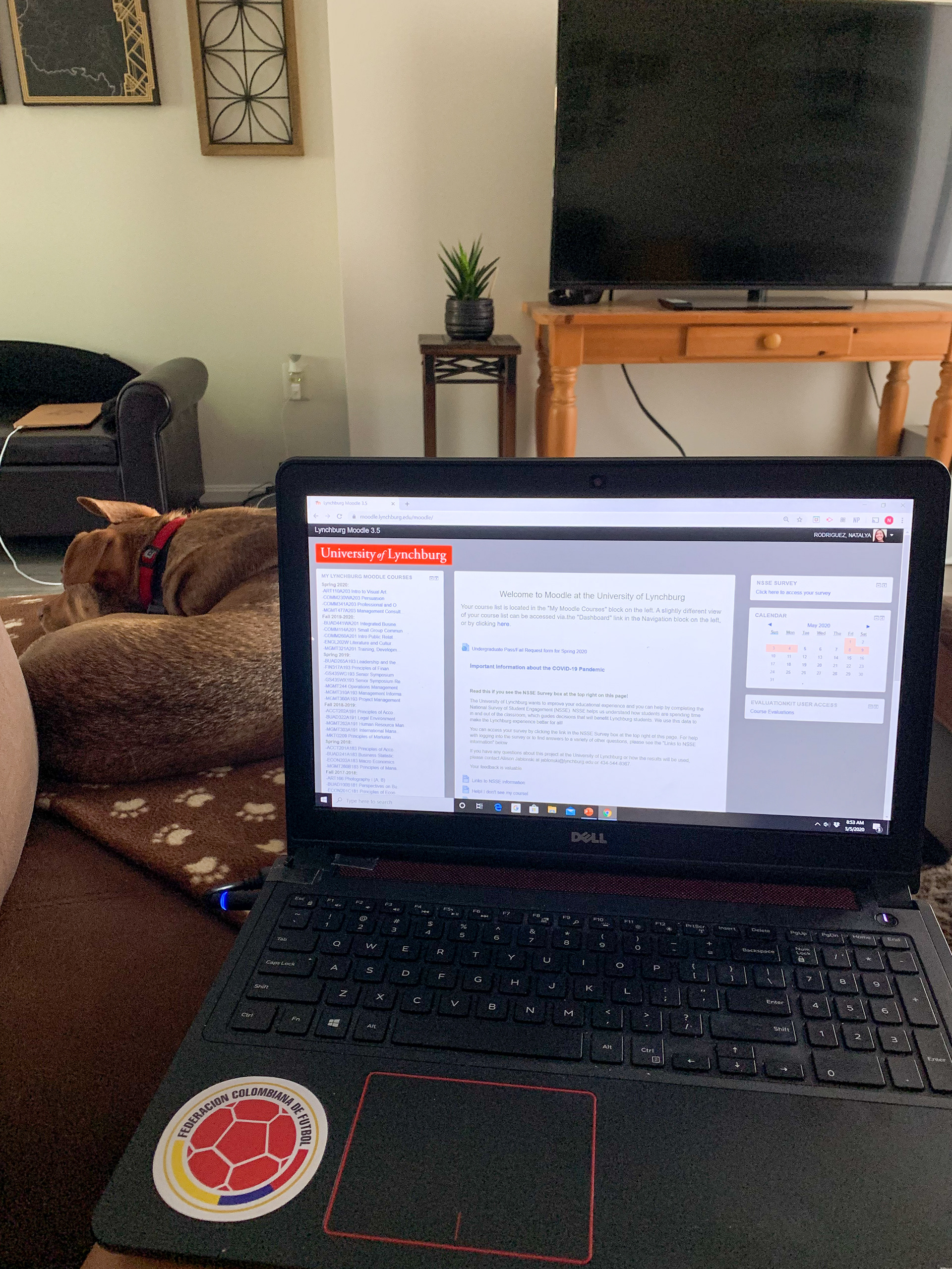 Natalya Rodriguez taking University of Lynchburg online final exams while in quarantine, May 5th, 2020. Natalya Rodriguez | Alexandria, Virginia.