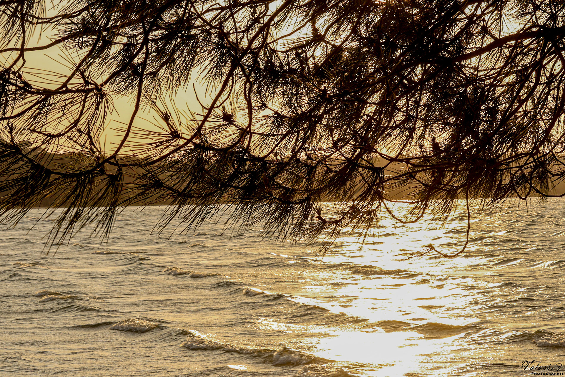 Biscarrosse