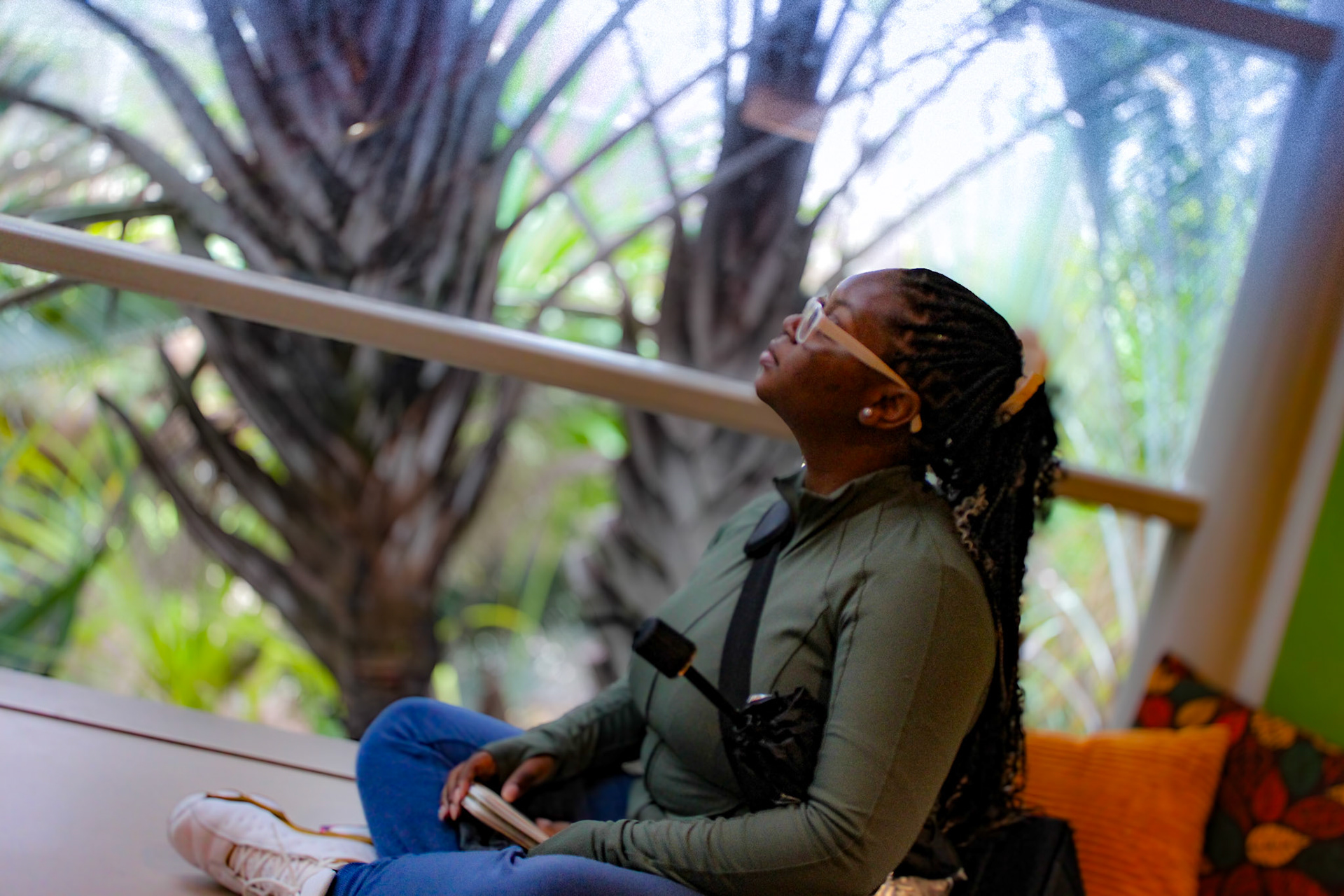 Genesis at peace, perched in a window seal relaxing after a busy jungle field day.