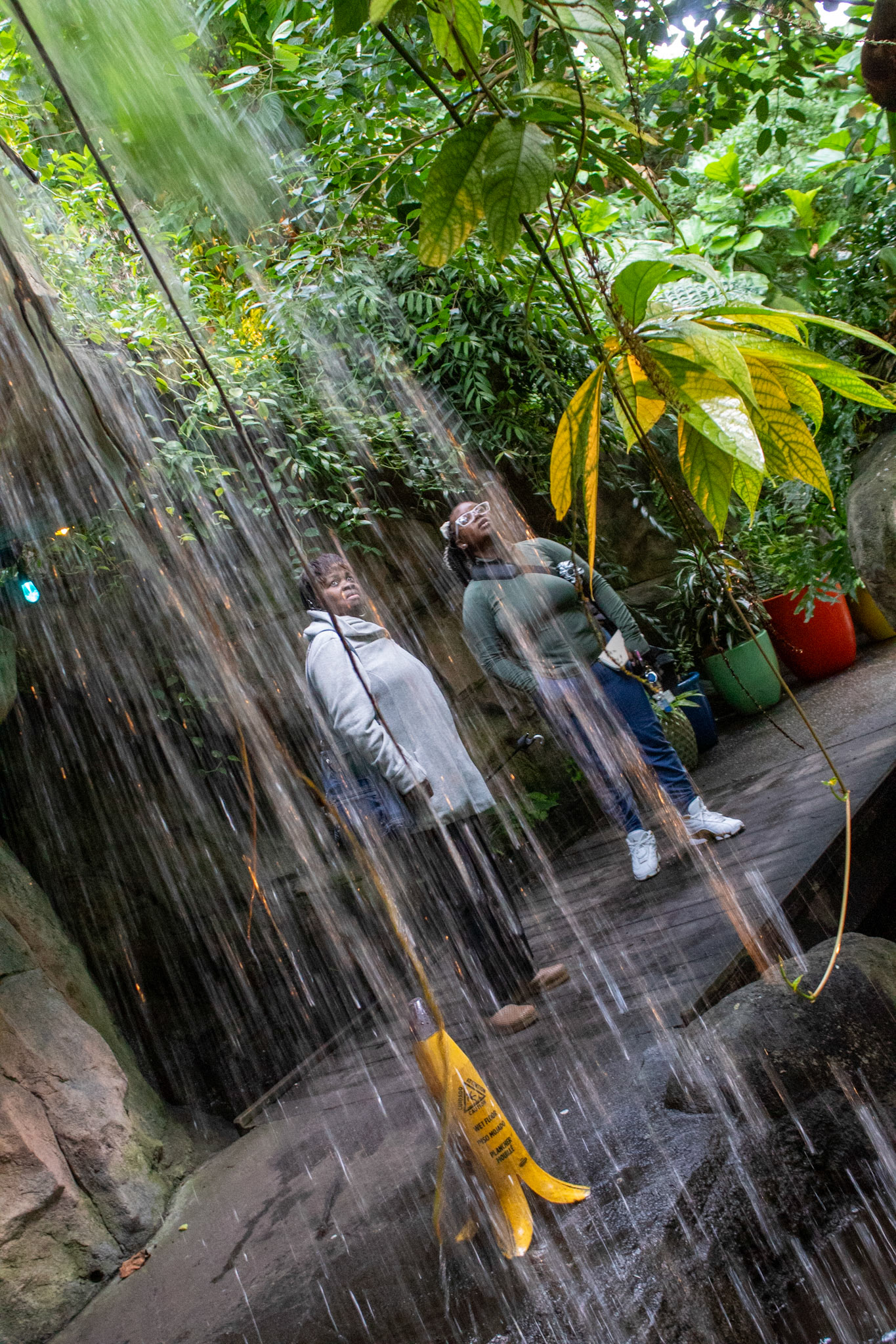 When it rains it pours the most beautiful scenery.