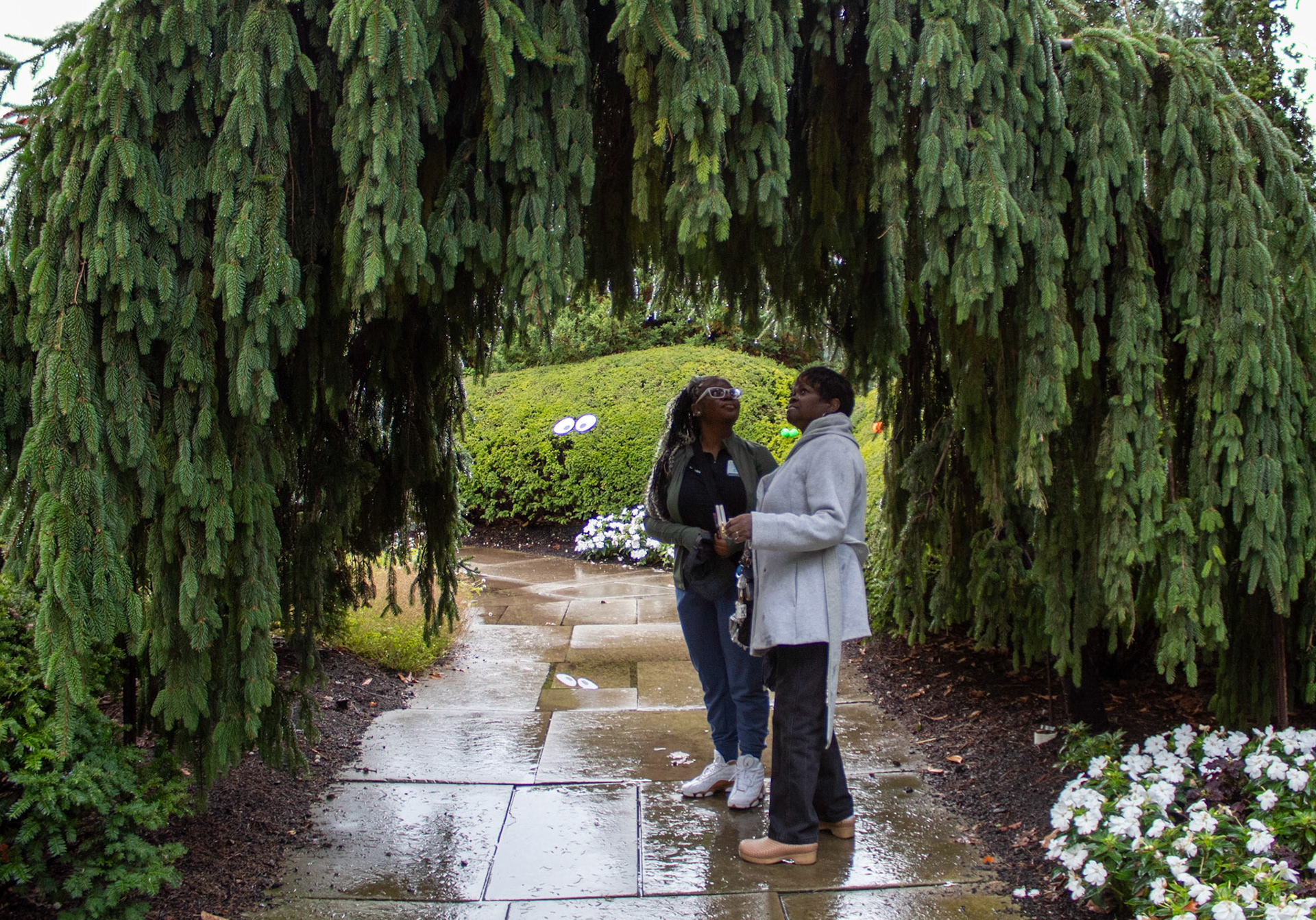What wonders are seen in this lively rainy scene!