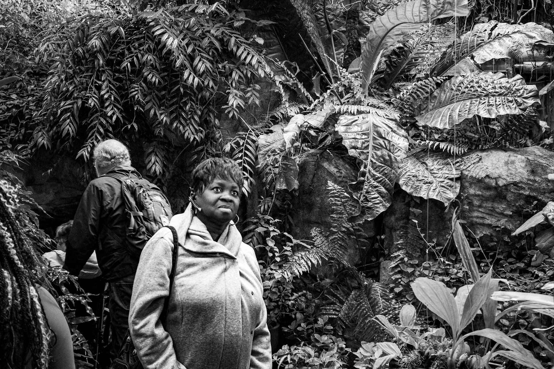 A tree lovers dream made gigantic.