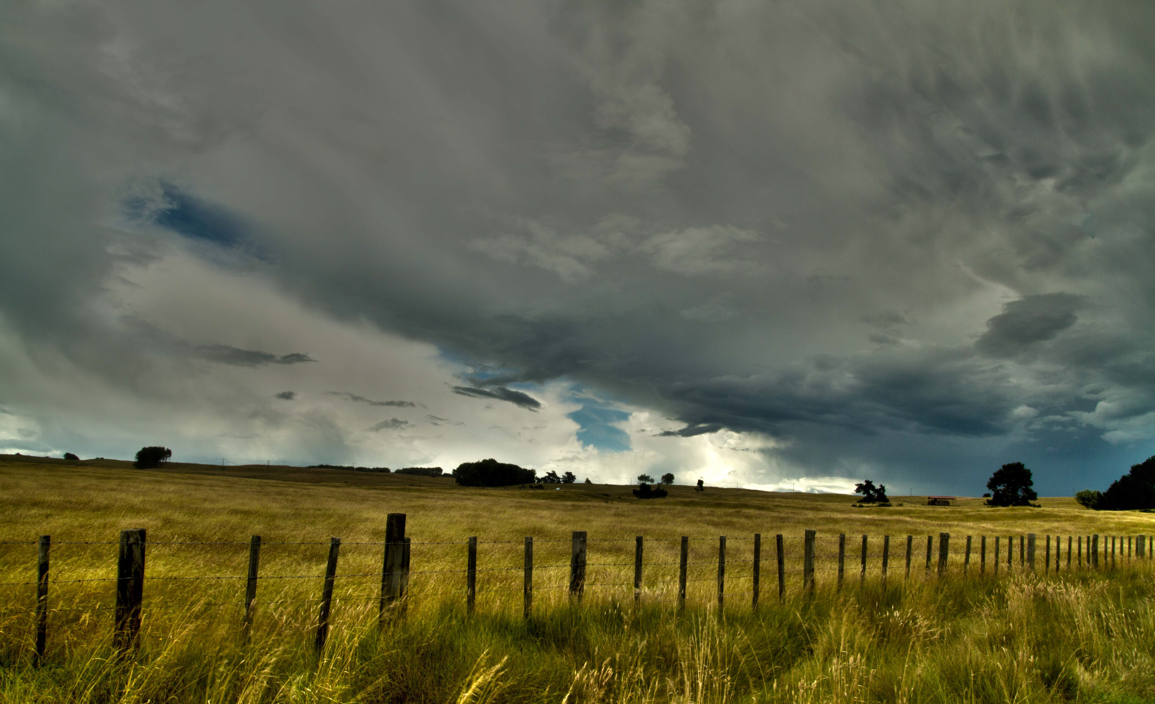Taupo