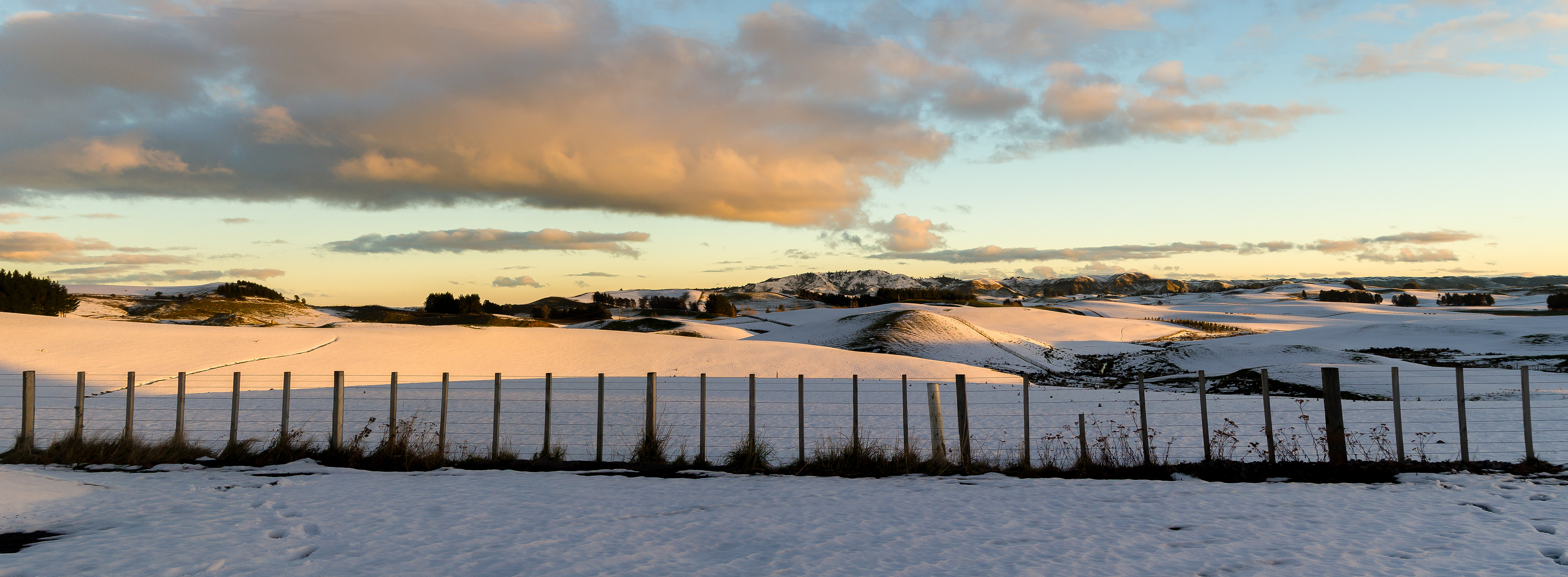 Ohakune