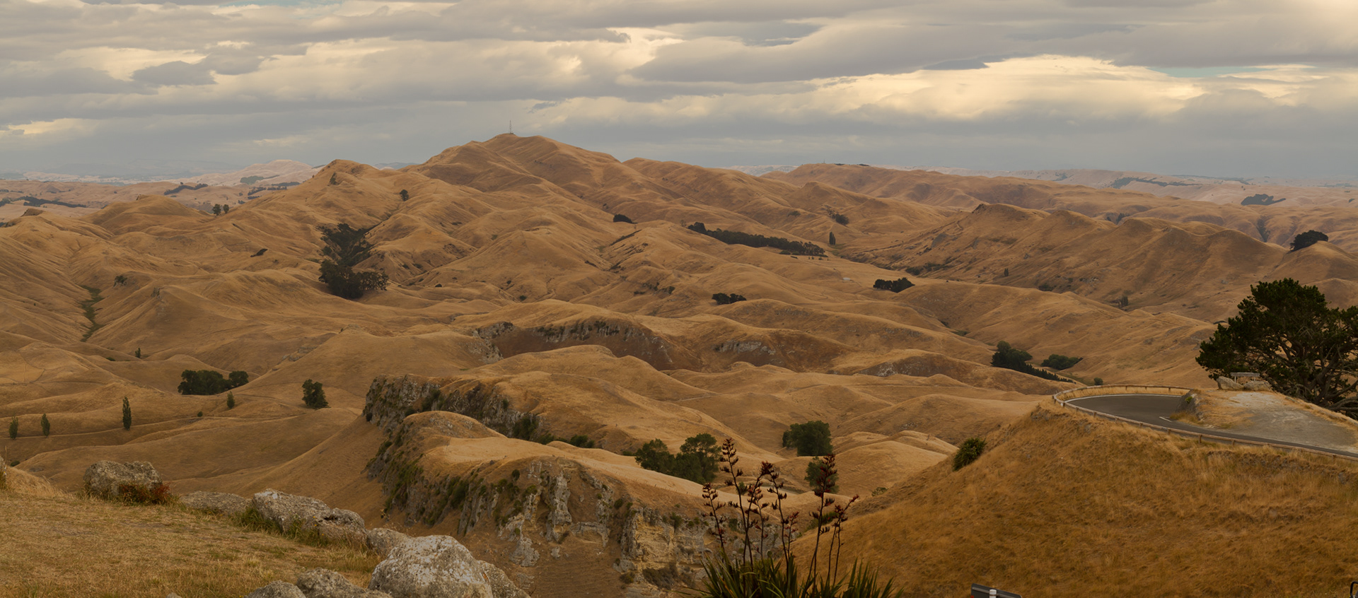 Te Mata Peak, Hawkes Bay