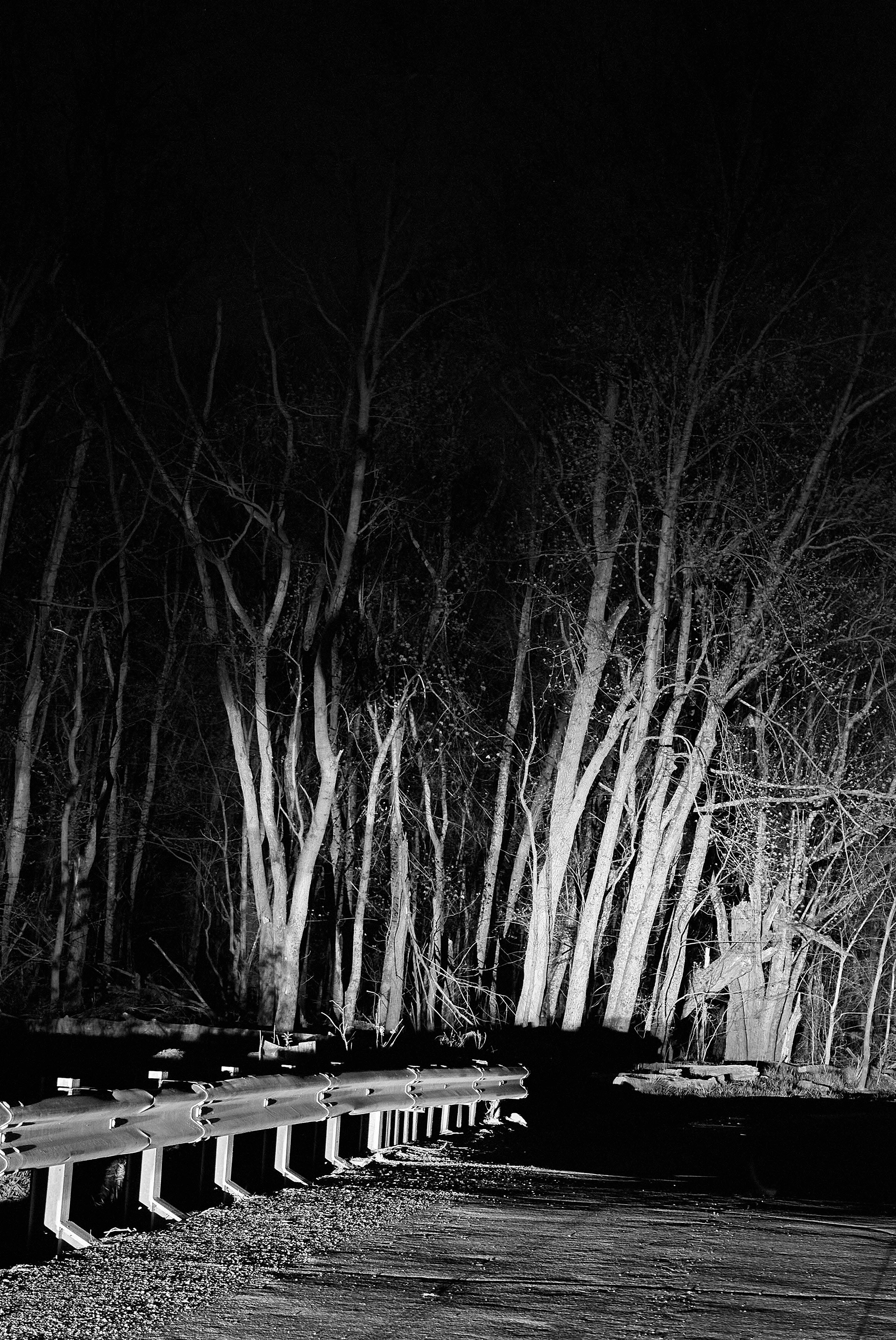 [Killbuck Marsh Wildlife Area, Shreve, OH]