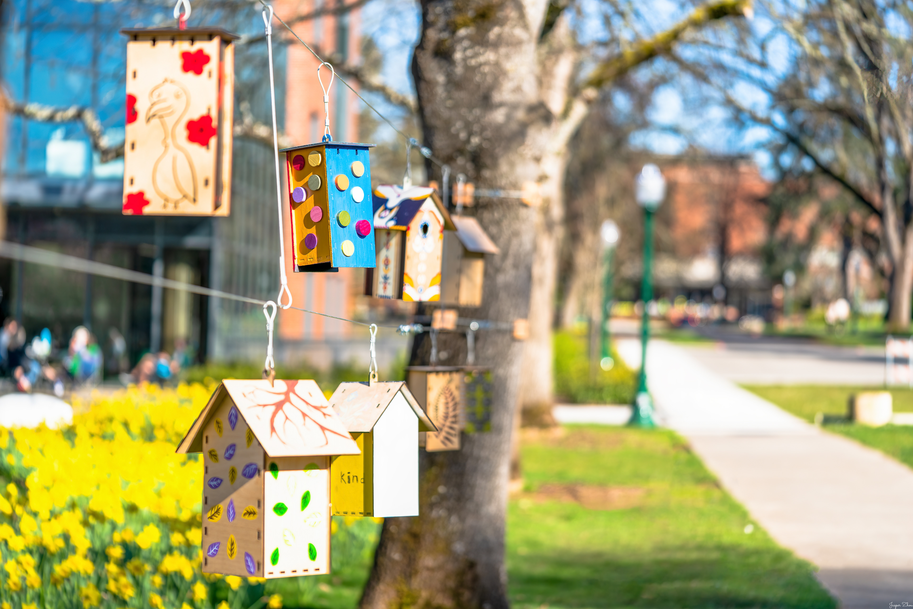 Sunny UO campus view