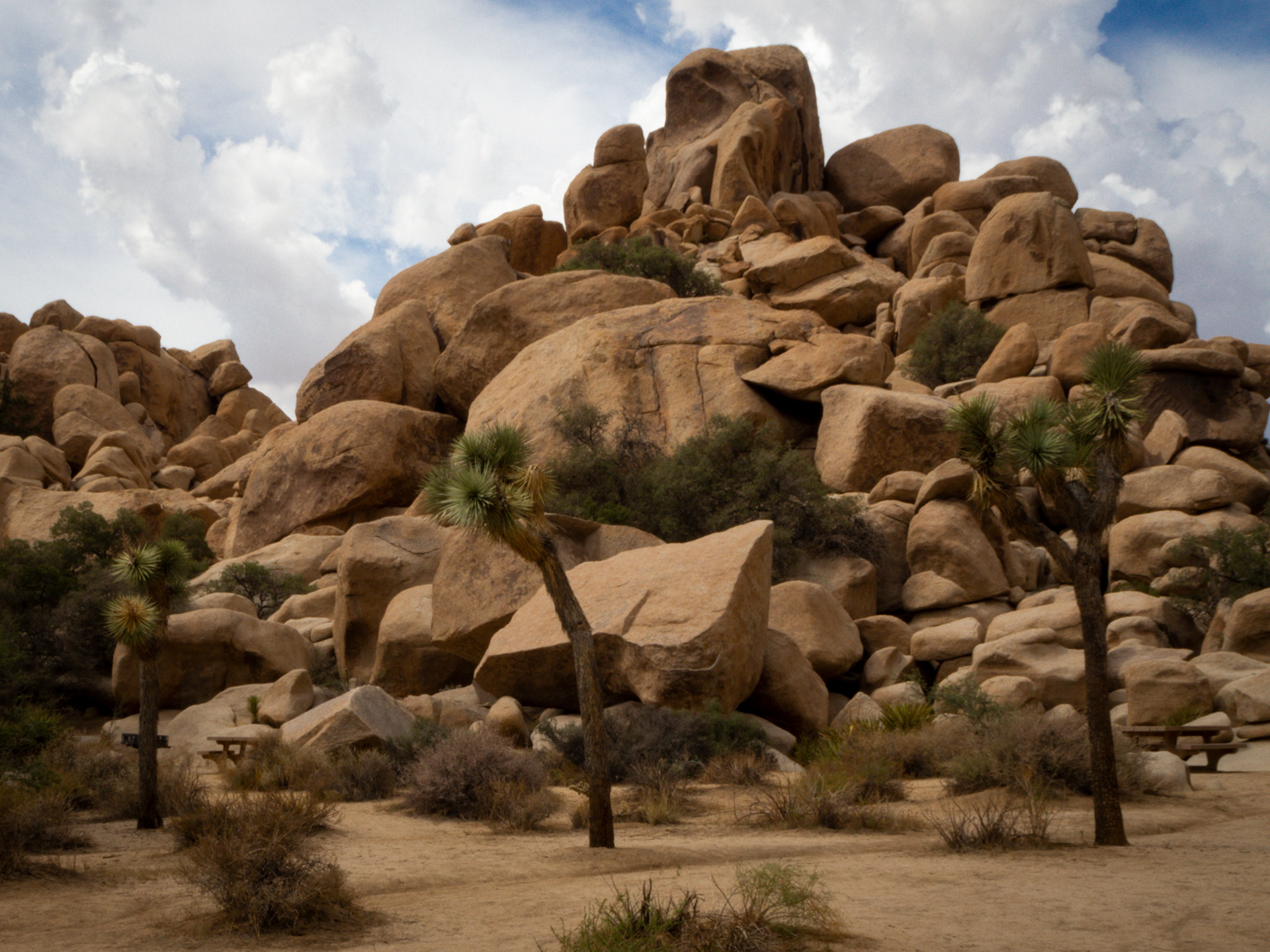 Joshua Tree National Park