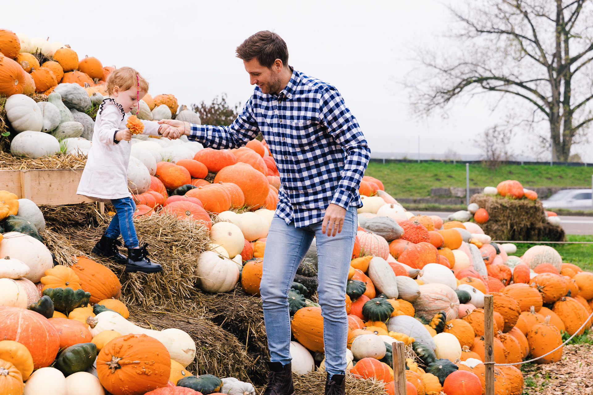 Herbstliches Familienshooting: Ein Vater hält die Hand seiner Tochter, umgeben von bunten Kürbissen