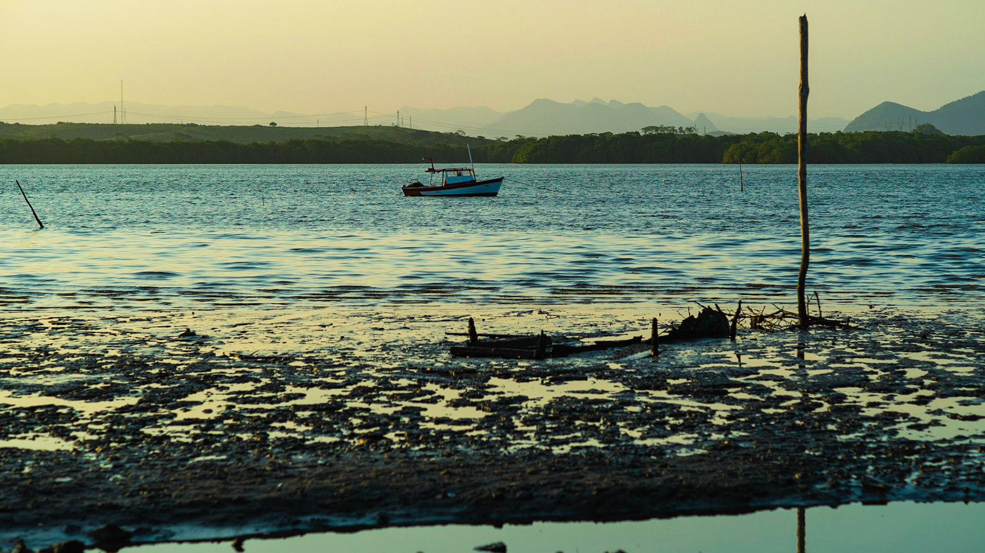 Ilha das Caieiras. Foto Francisco Xavier