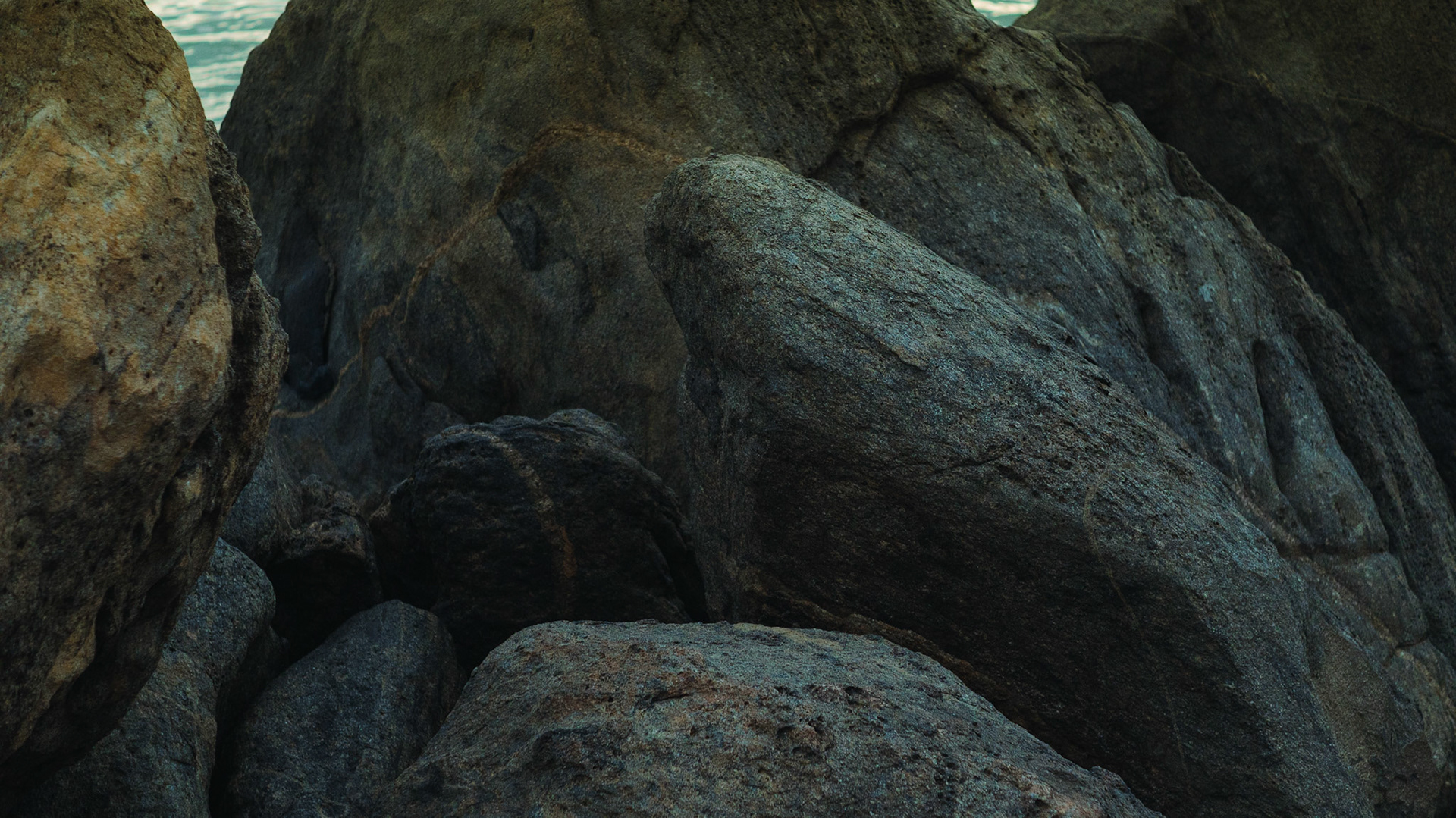 Iriri. Foto Francisco Xavier