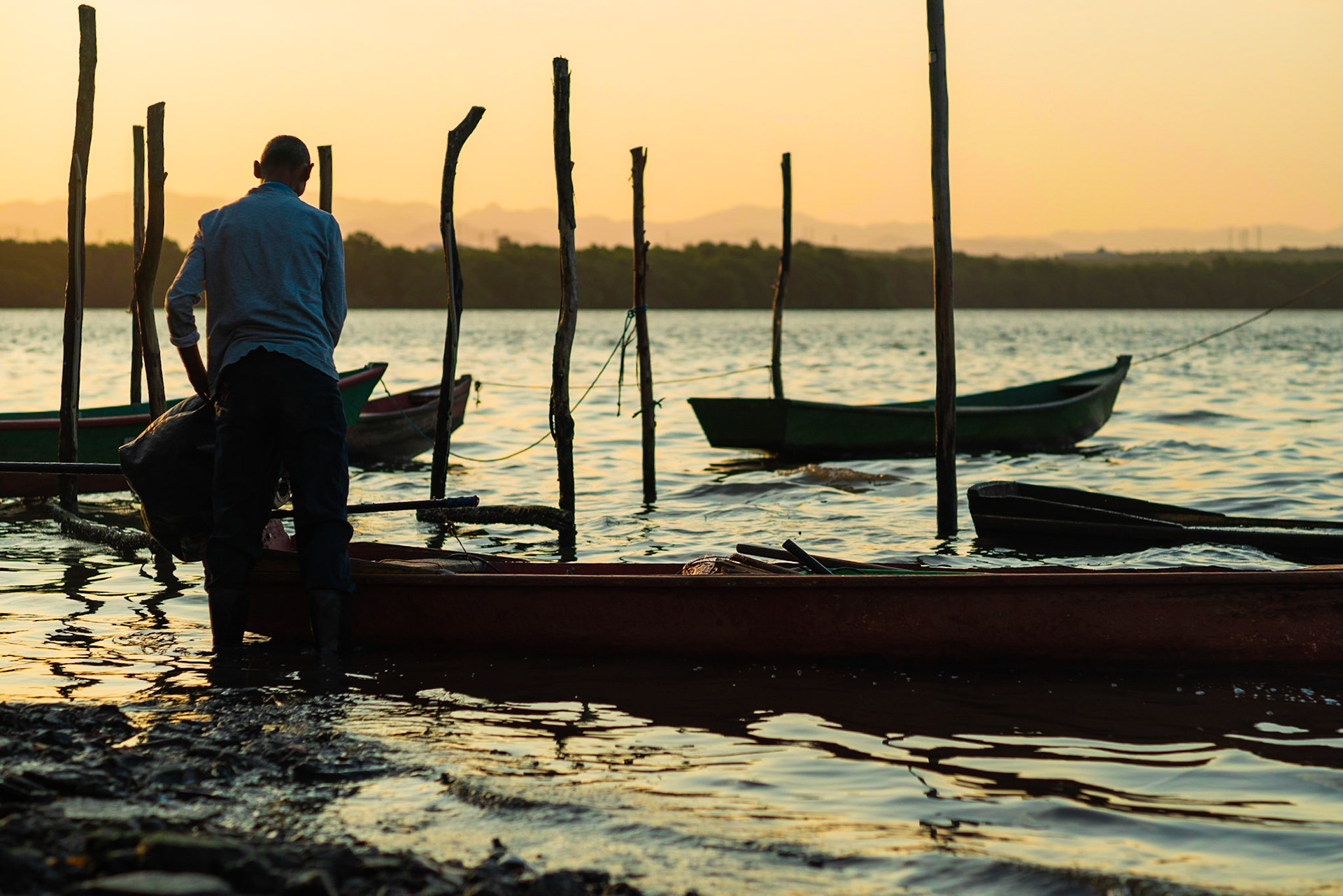Ilha das Caieiras. Foto Francisco Xavier