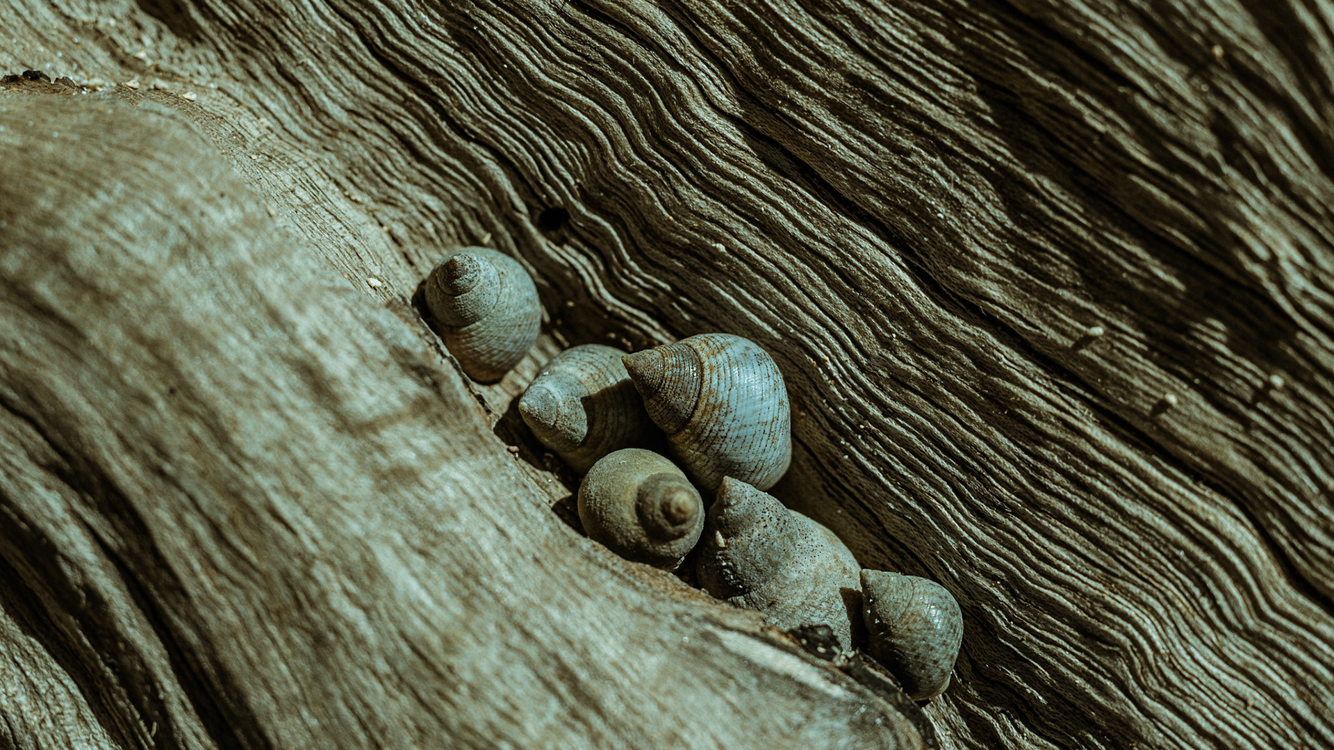 Mar Azul. Foto Francisco Xavier