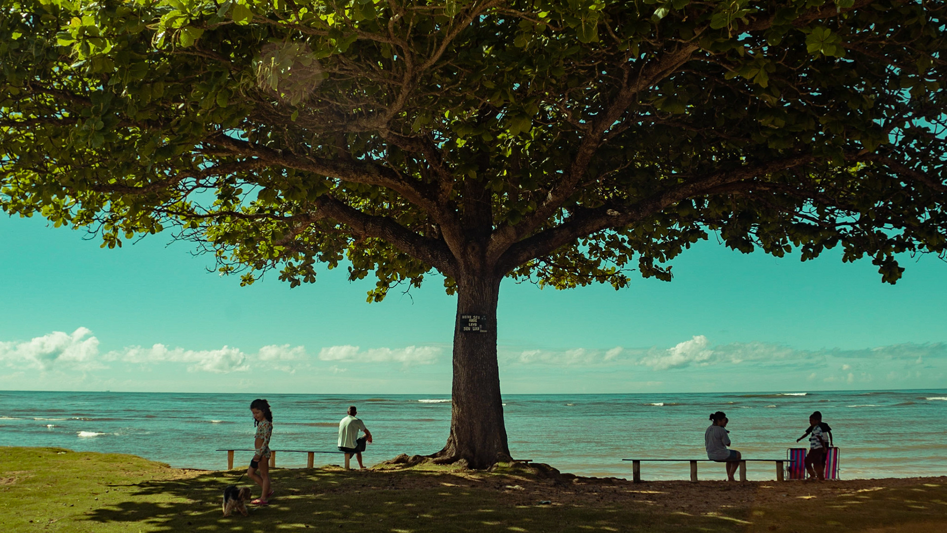 Mar Azul. Foto Francisco Xavier