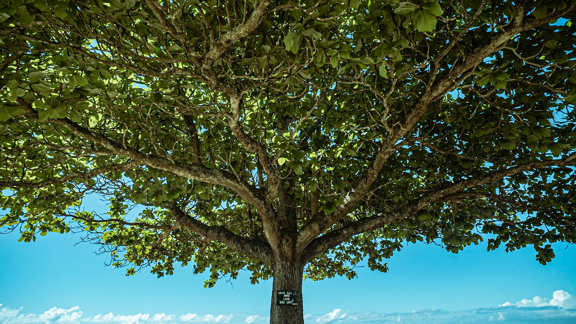 Mar Azul. Foto Francisco Xavier