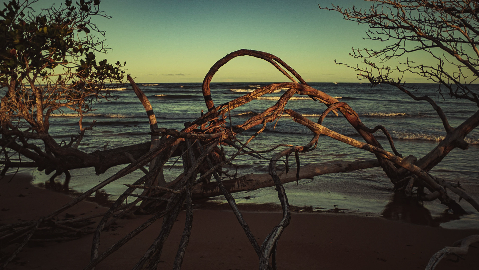 Mar Azul. Foto Francisco Xavier