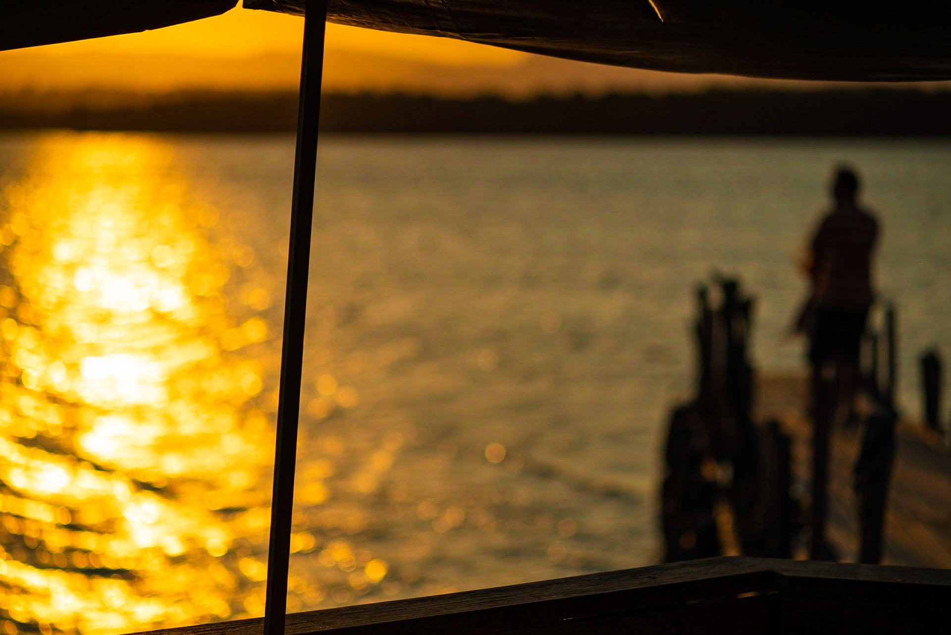 Ilha das Caieiras. Foto Francisco Xavier