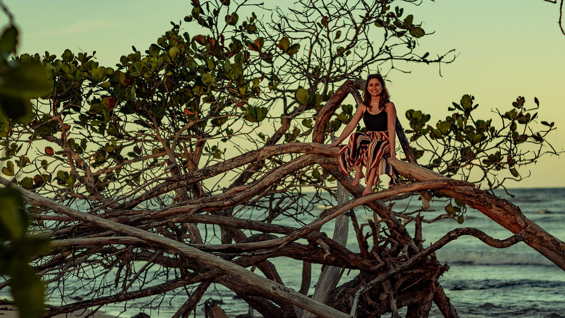 Mar Azul. Foto Francisco Xavier