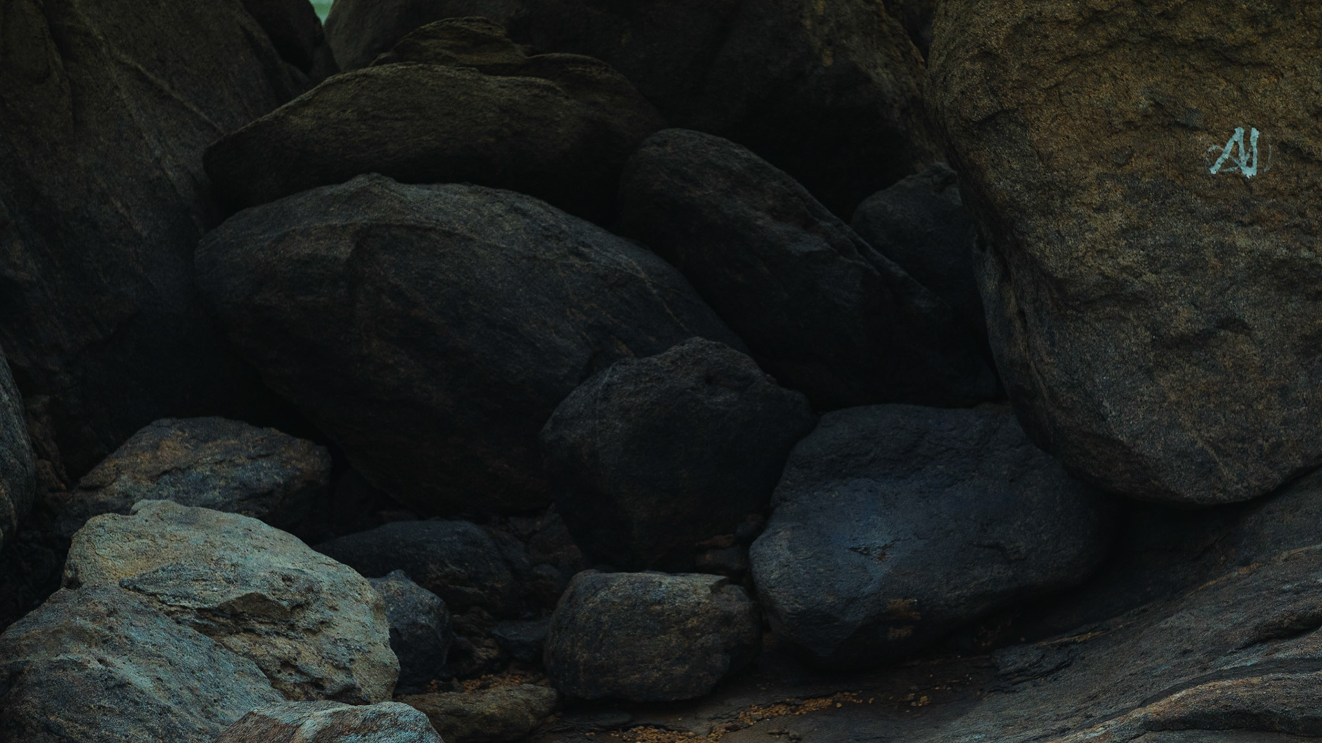 Iriri. Foto Francisco Xavier