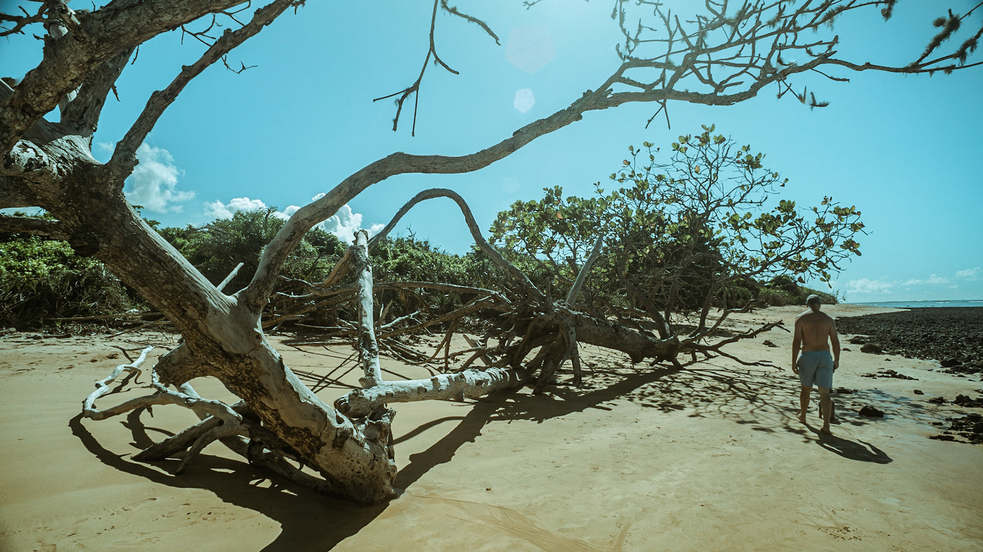 Mar Azul. Foto Francisco Xavier
