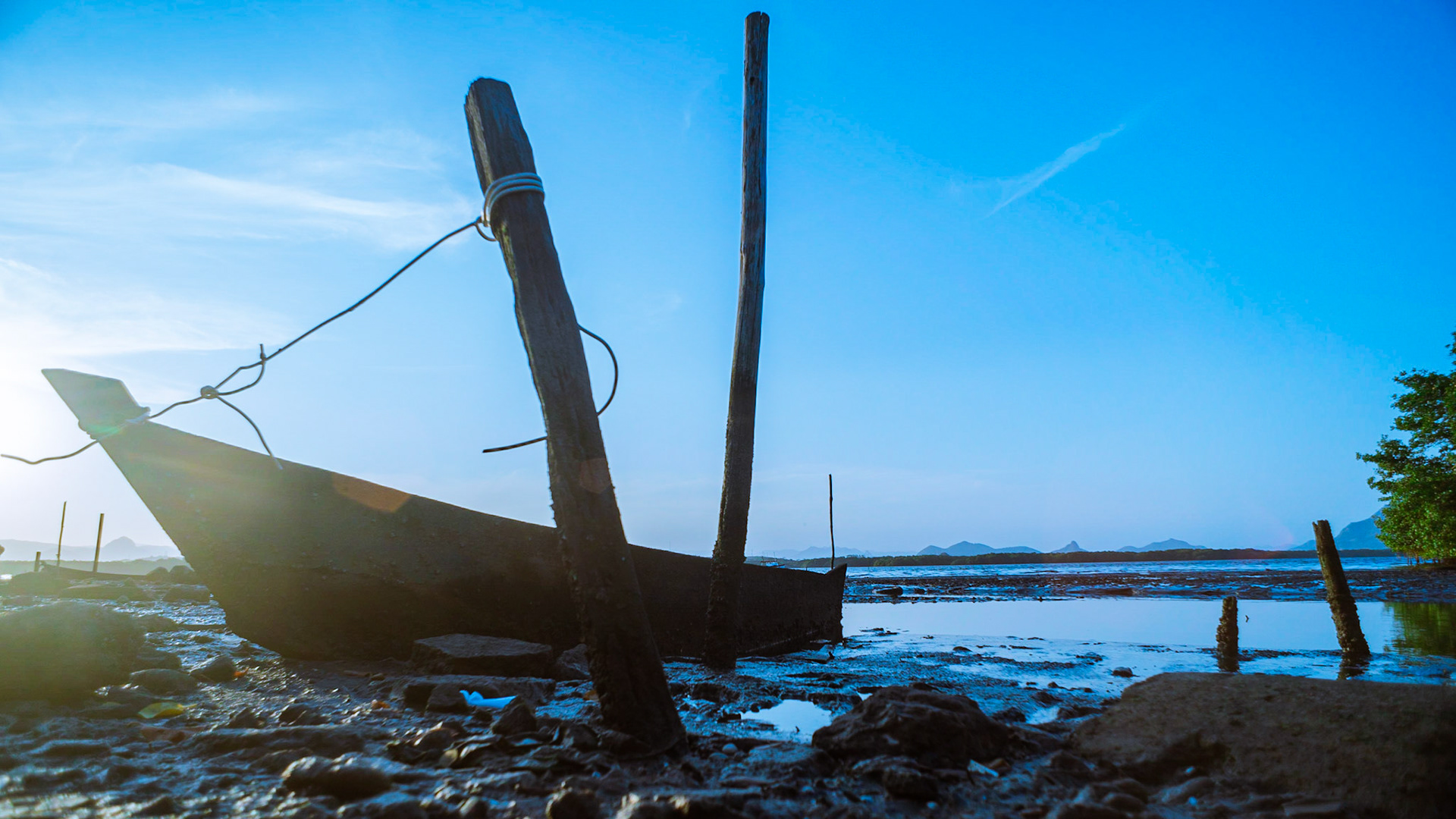 Ilha das Caieiras. Foto Francisco Xavier