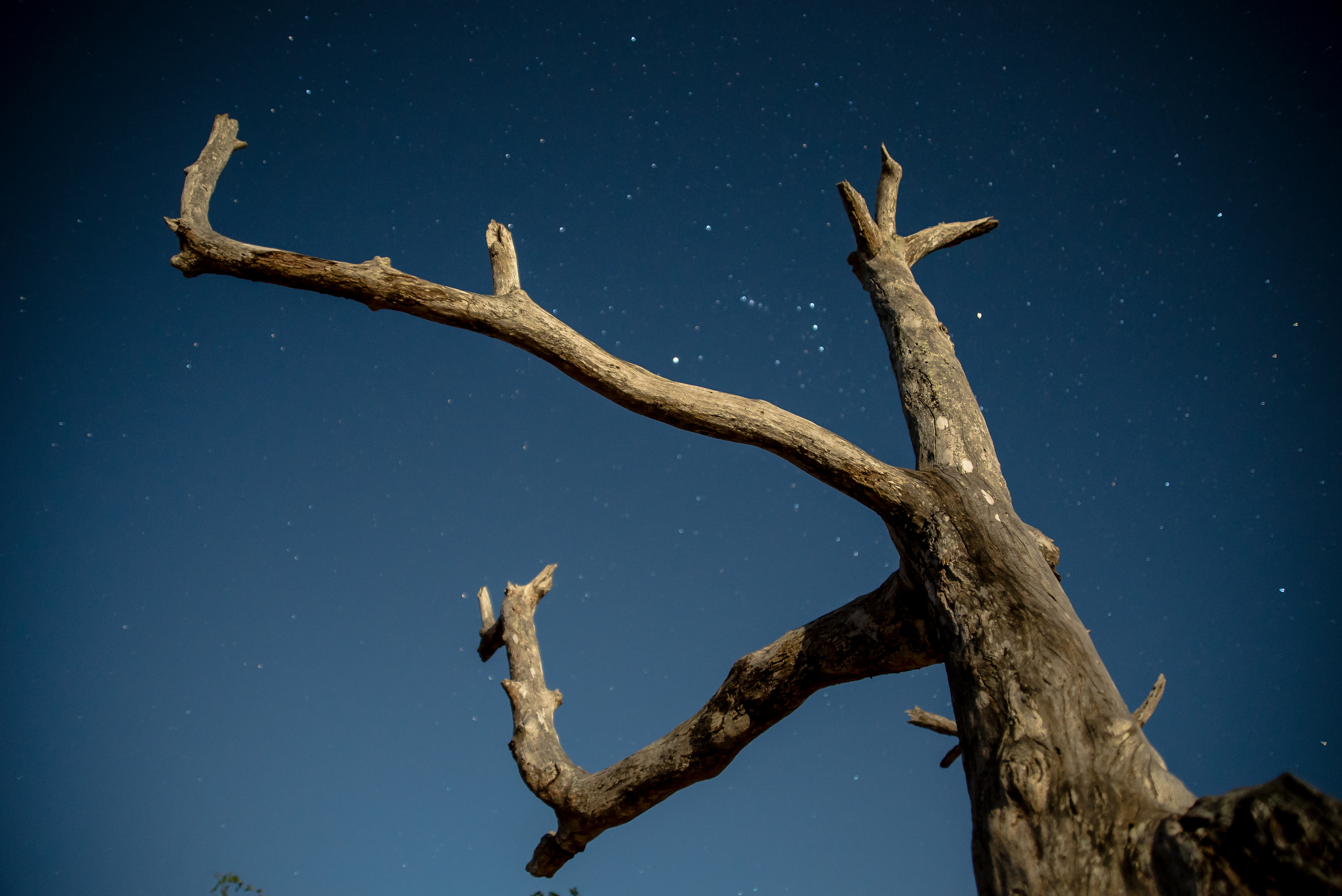 Mar Azul. Foto Francisco Xavier