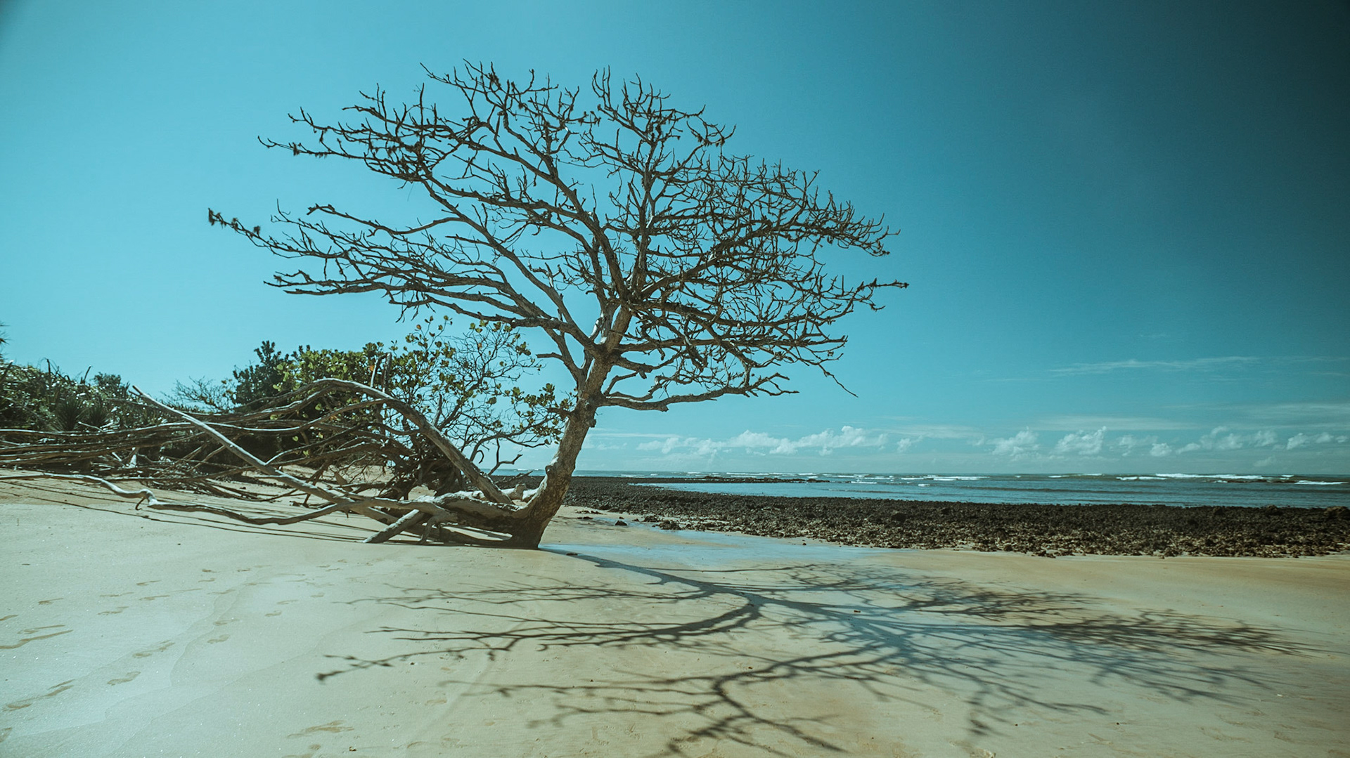 Mar Azul. Foto Francisco Xavier