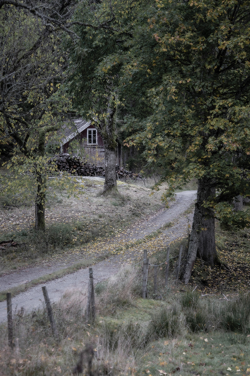 Enslig stuga i närheten av Vrångstad, Hamburgsund
