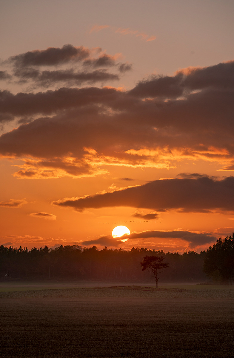 Solnedgång över Håle, Grästorp