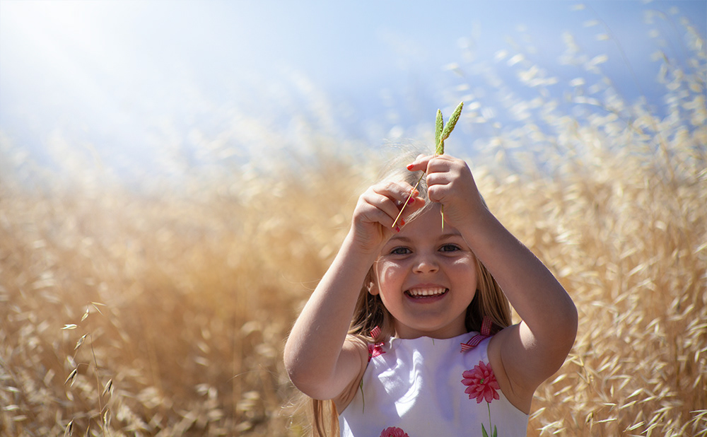 young girl in golden wheat field holding up stems of wheat