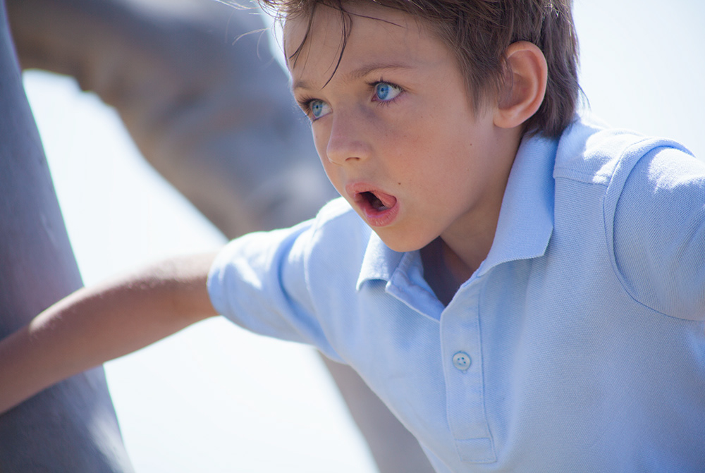 young blue eyes boy climbing tree