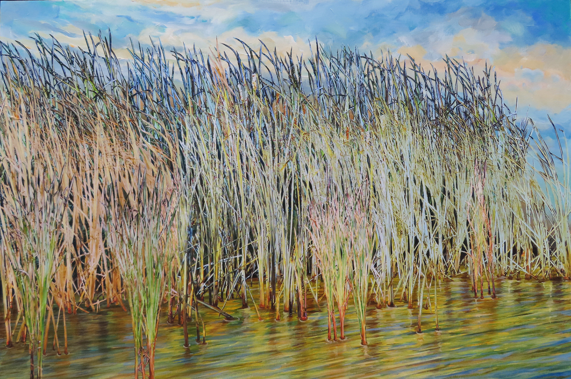 Marsh Light #1, 2024,   20”  x 30”,  hand cut paper photos and acrylic paint