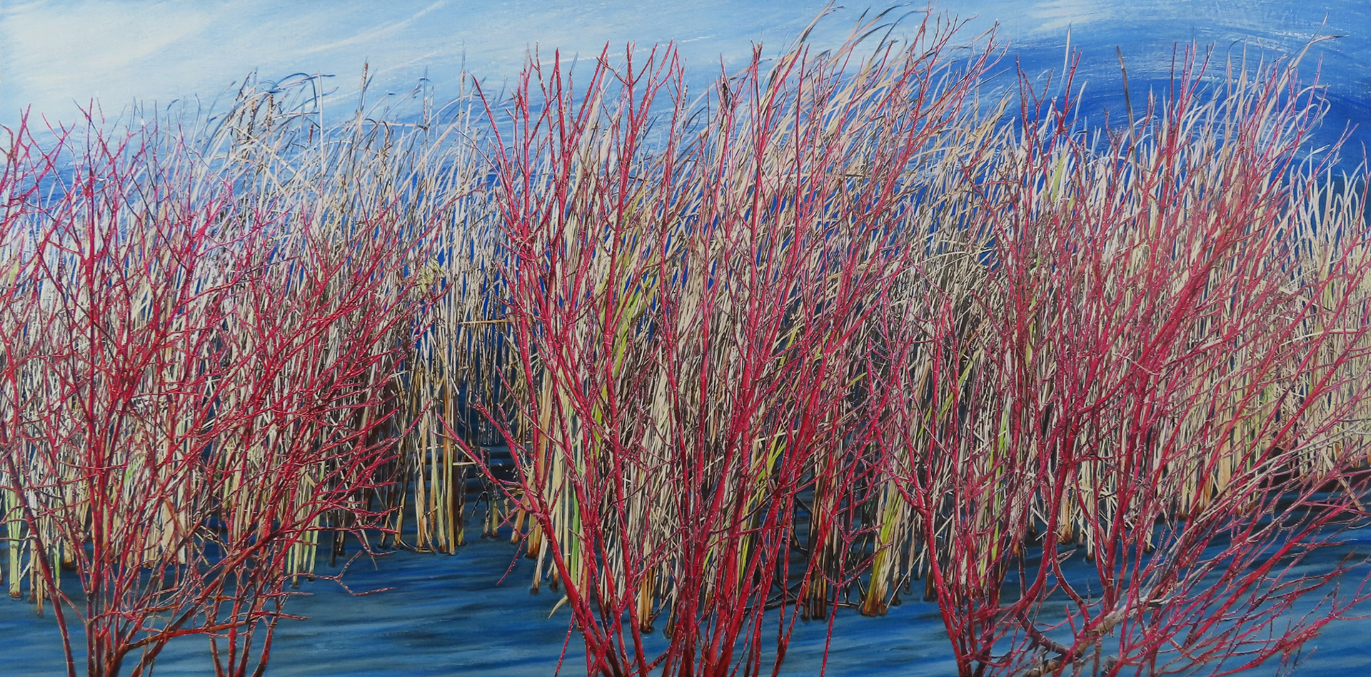 Wonderous Red Willow, 2026,  18"x 36", hand cut paper photos and acrylic paint