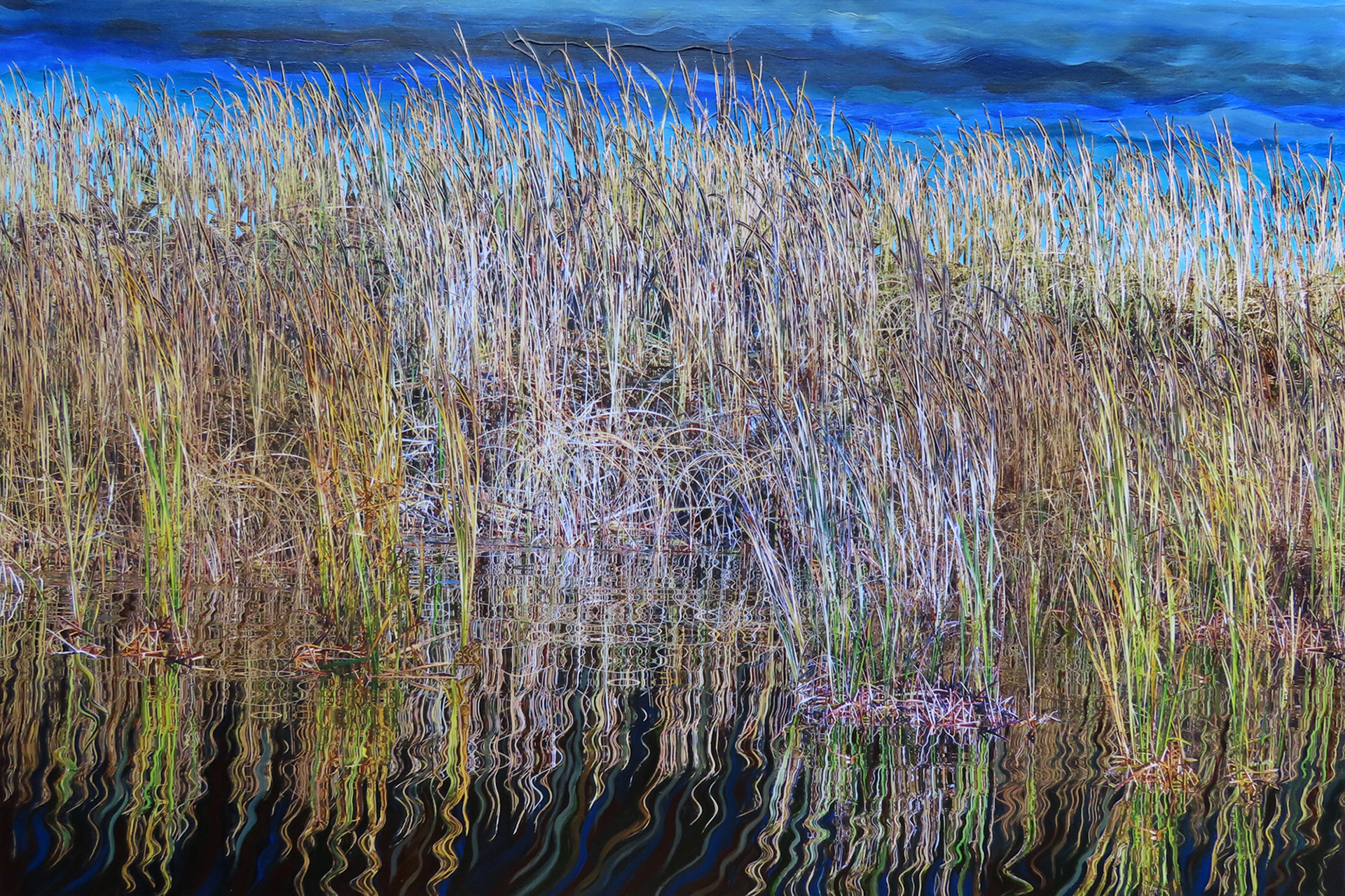 Mystical Marsh #3, 2024,   20”  x 30”,  hand cut paper photos and acrylic paint