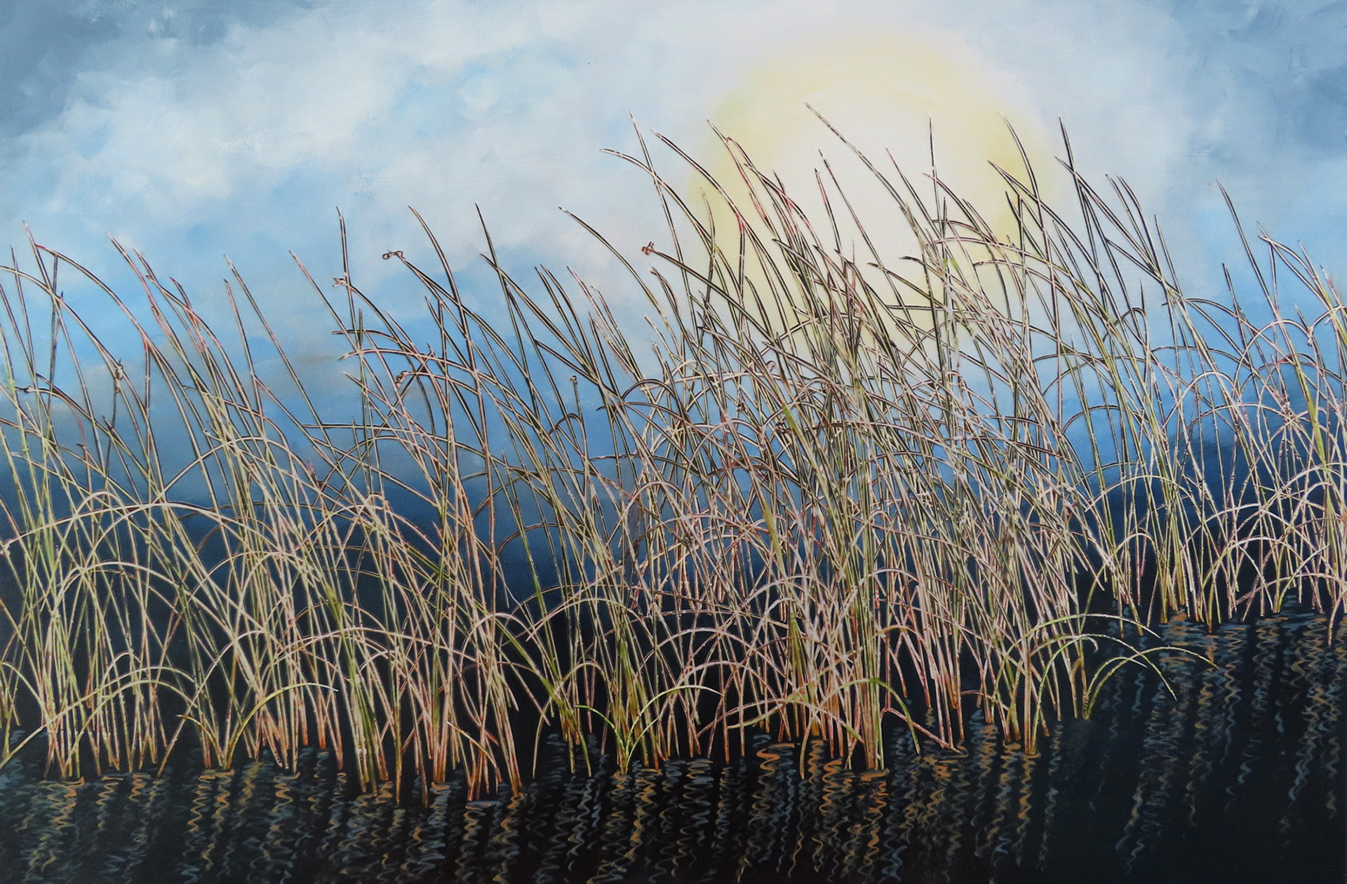 Marsh Sunrise, 2026, 16"x24", hand cut paper photos and acrylic paint