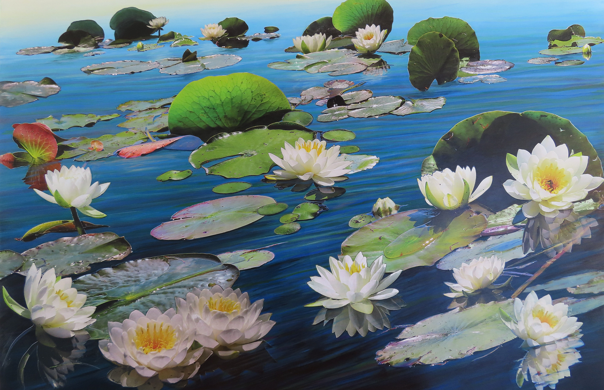 Pads Up!  2026,  24"  X 36",  cut paper photographs, my own, and acrylic painting