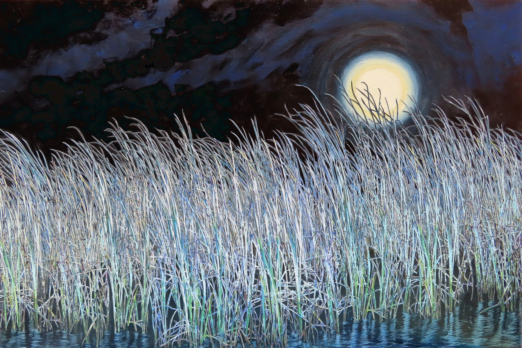 Marsh By Moonlight,  2025,  20"x 30", hand cut paper photos and acrylic paint