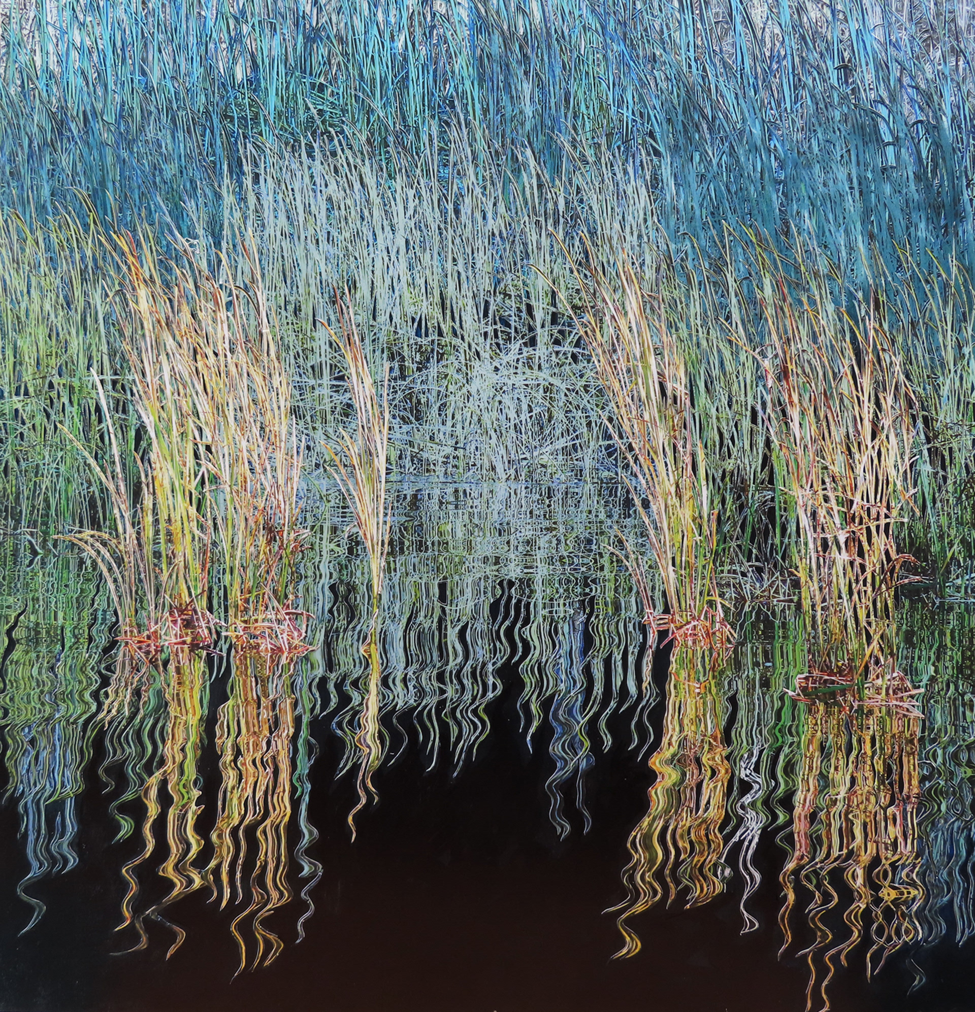 Imagine the Marsh Light, detail