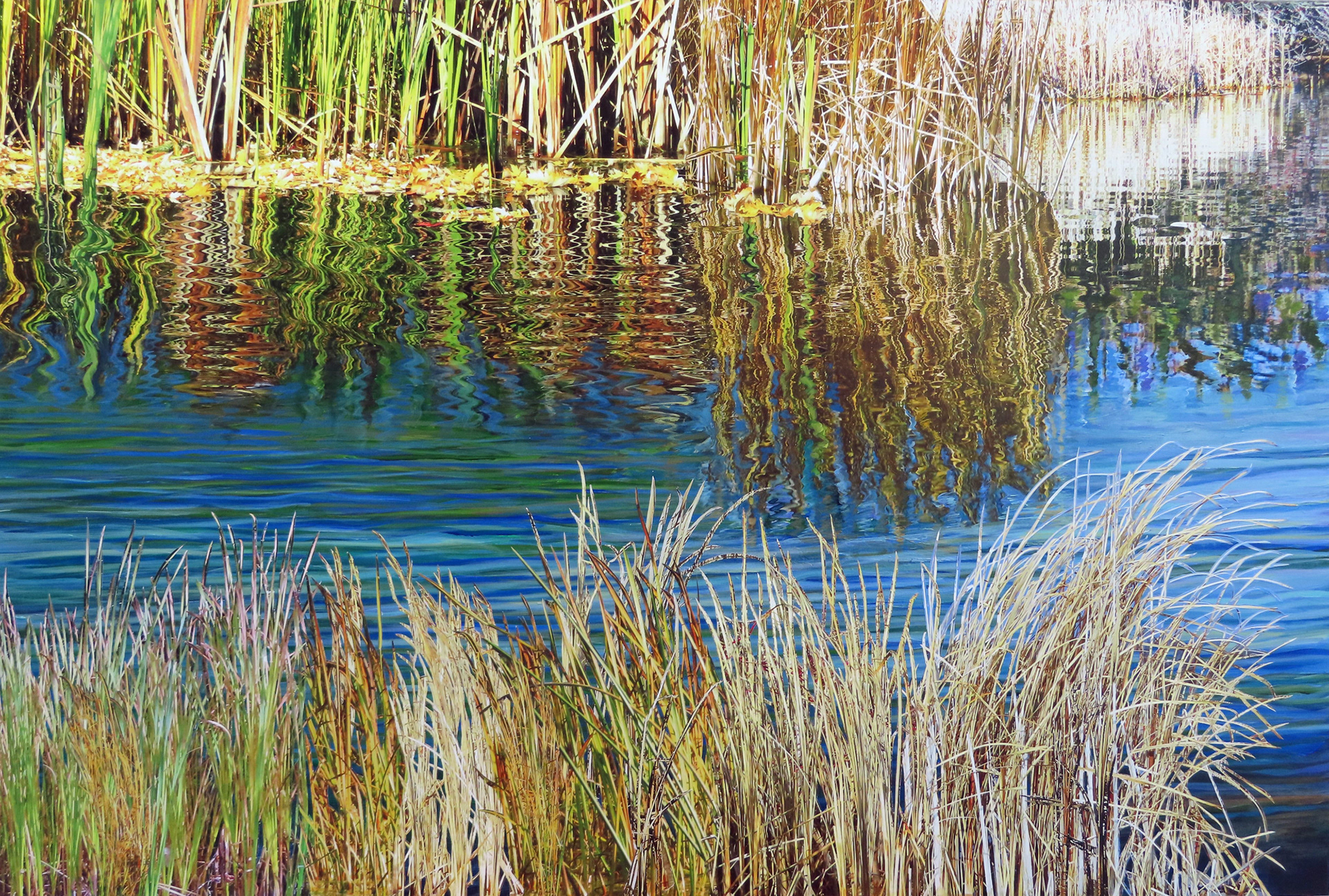 Lakefield Marsh,  2024,   24”  x 36”,  SOLD