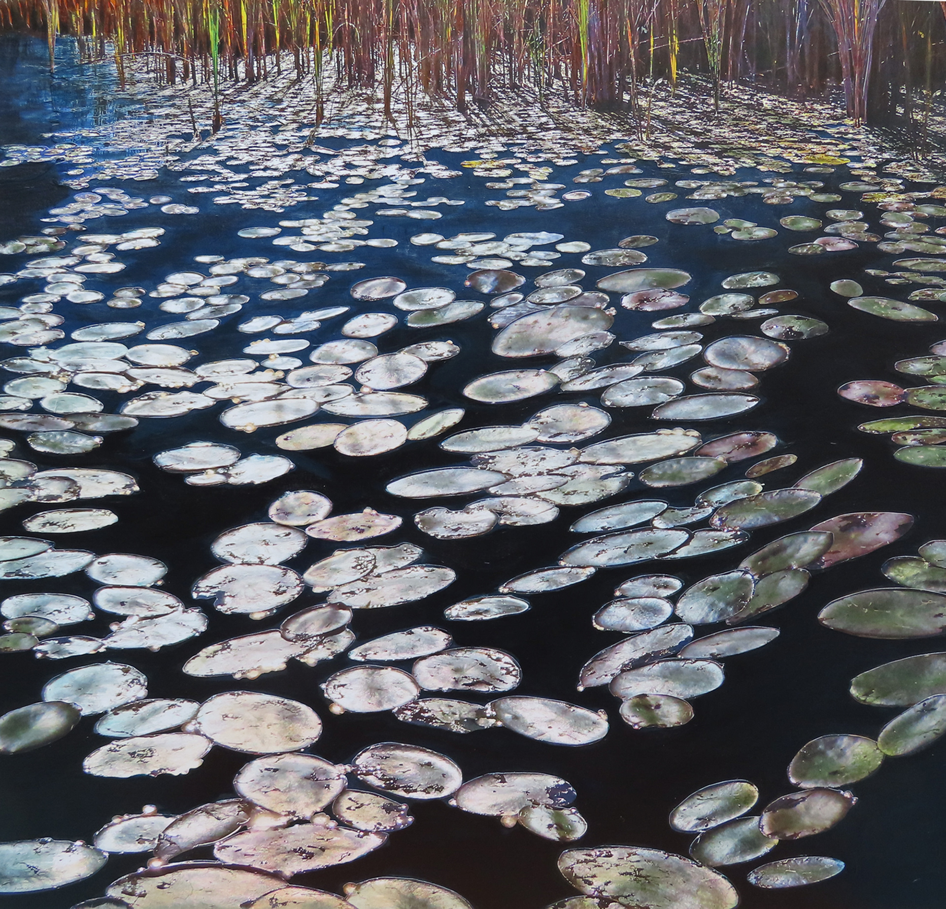 Lilies of the Night, Detail