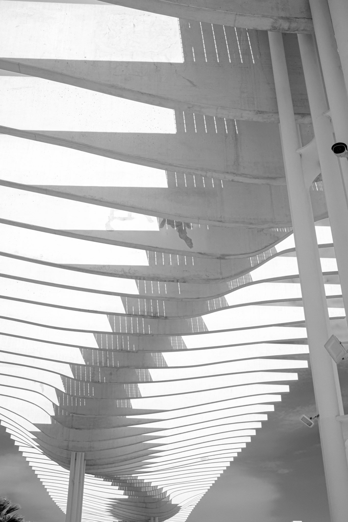 8_Espagne(s)_Malaga