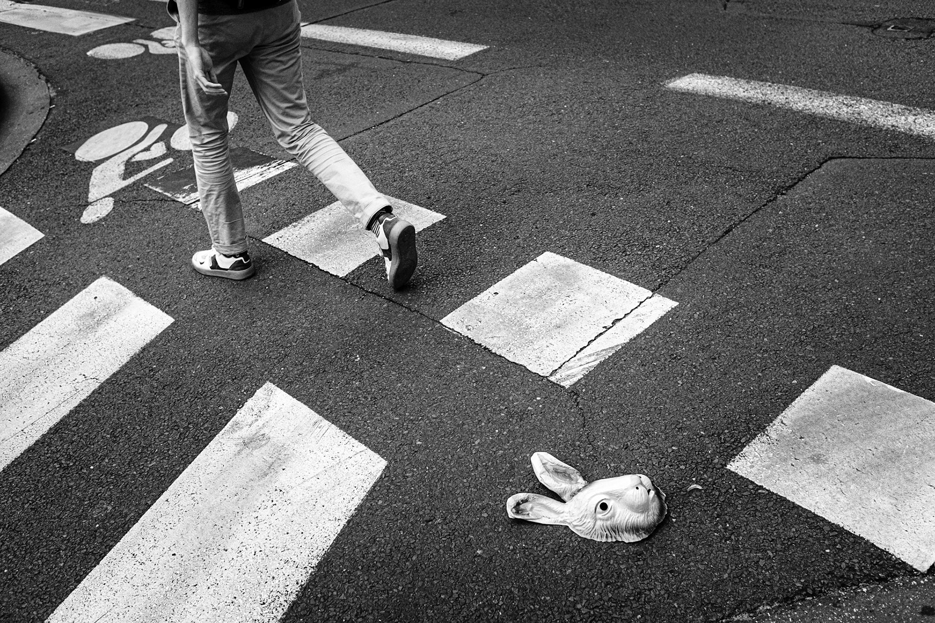 Lapin