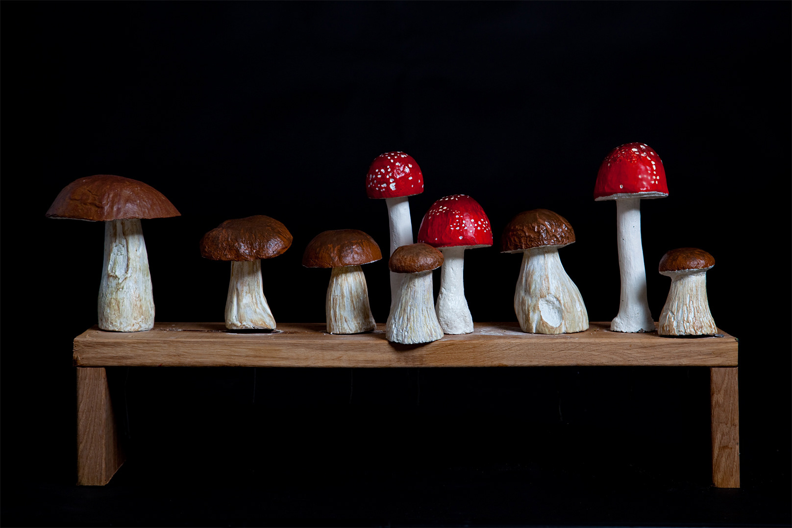 Målade svampar på tork