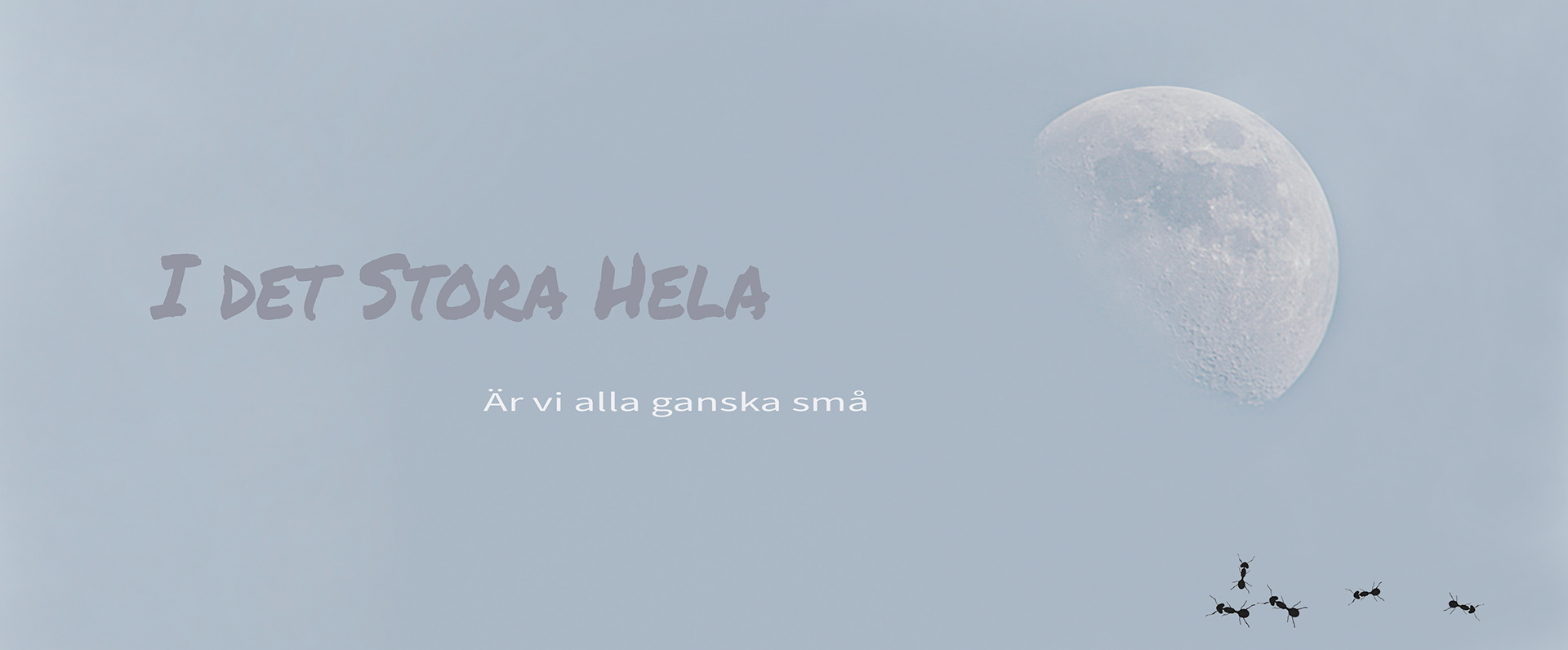 I det stora hela är vi alla ganska små