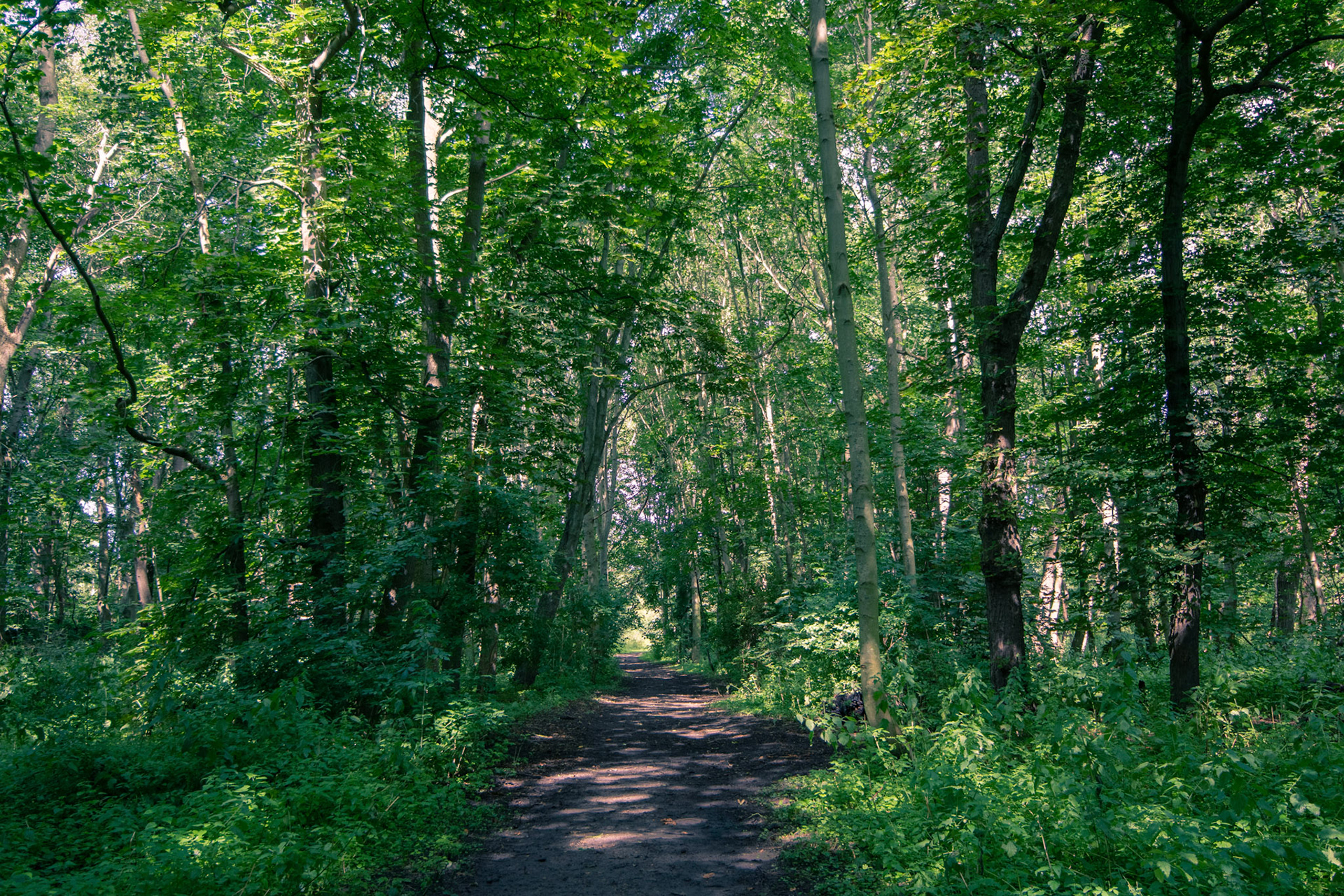 cabourduinen Addinkerke- Ghyvelde