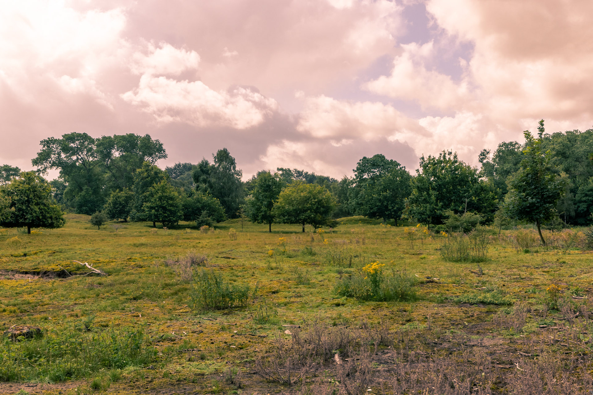 cabourduinen Addinkerke- Ghyvelde