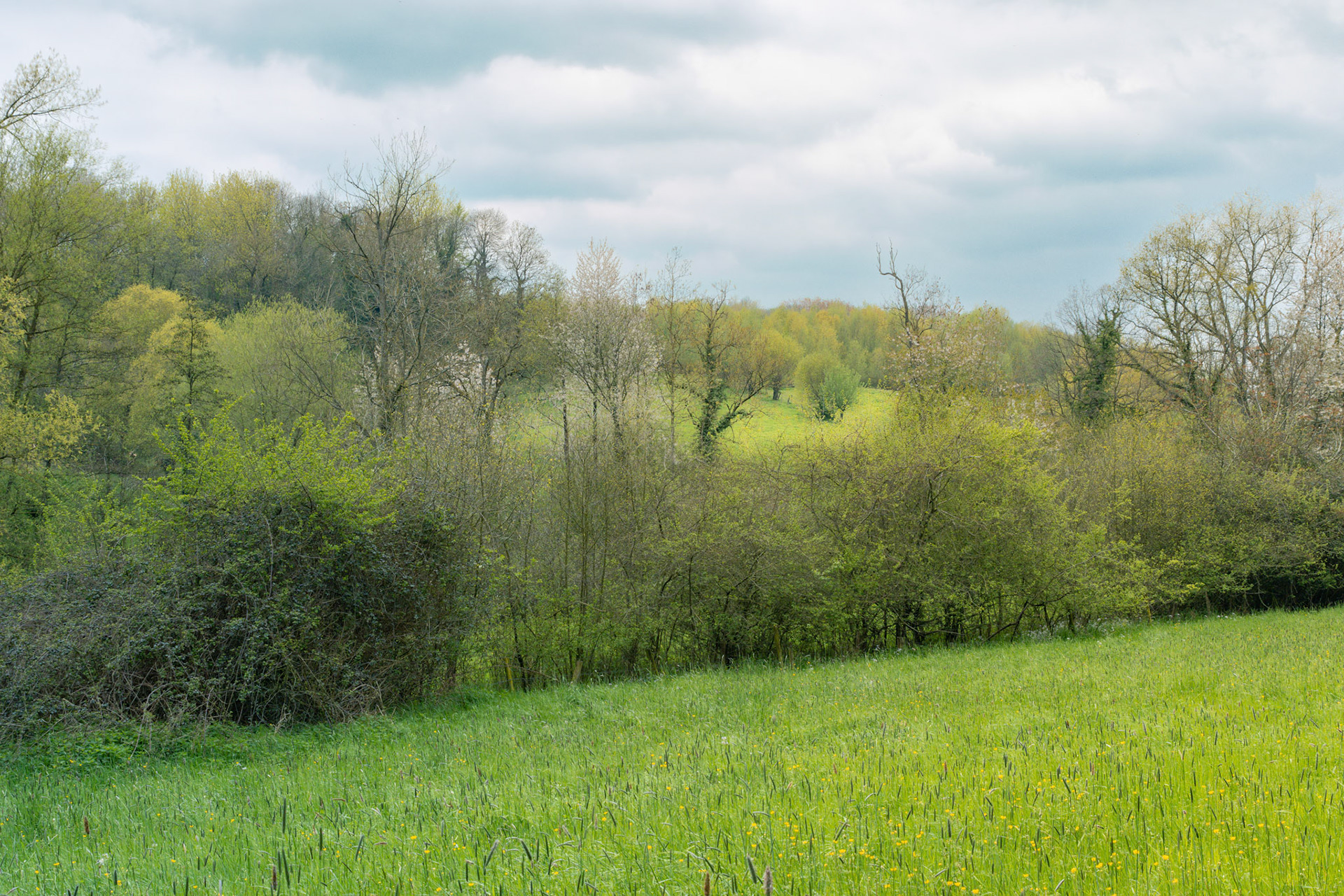 Burreken Vlaamse Ardennen