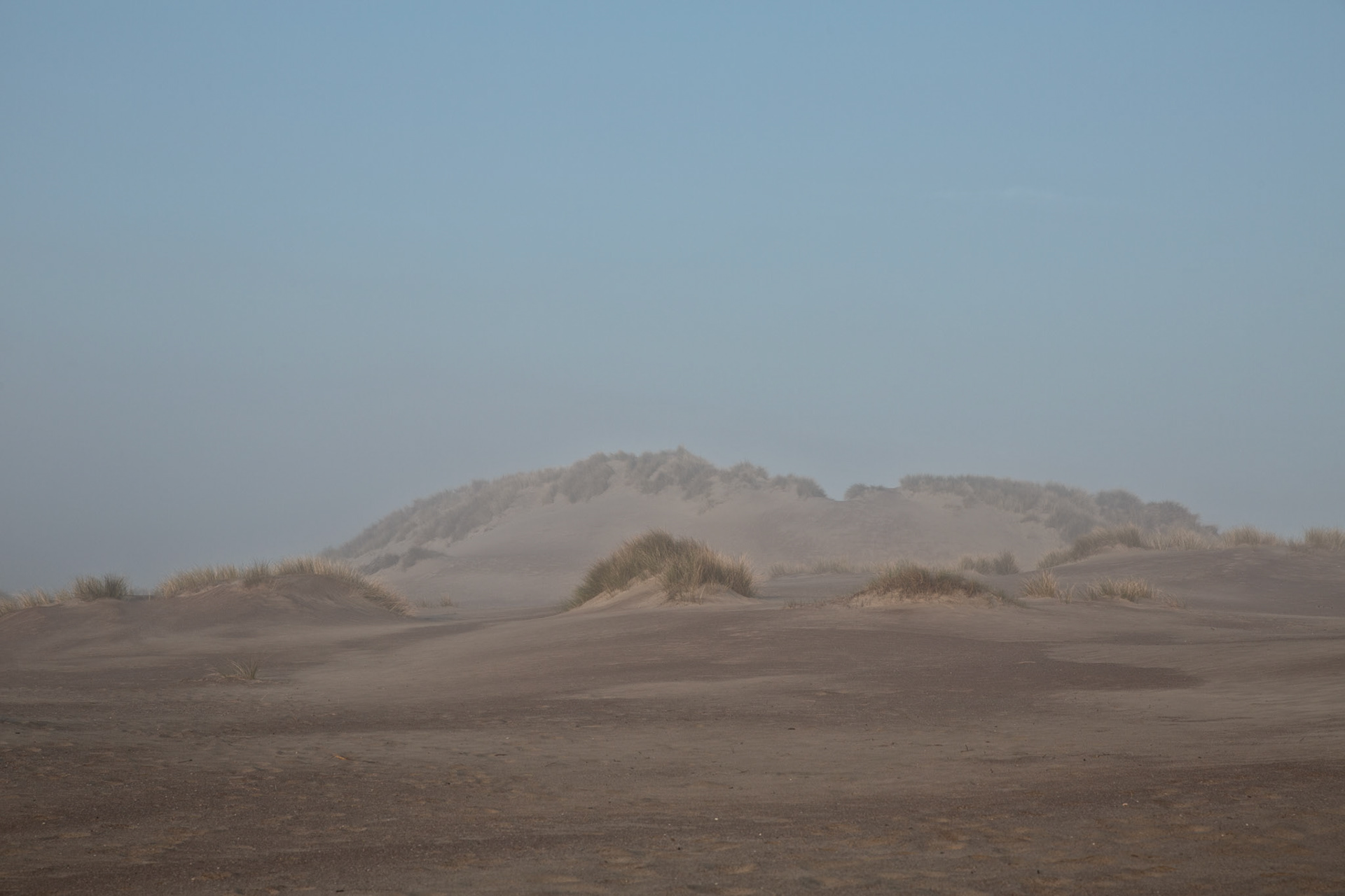 zeemist in de Schipgatsduinen